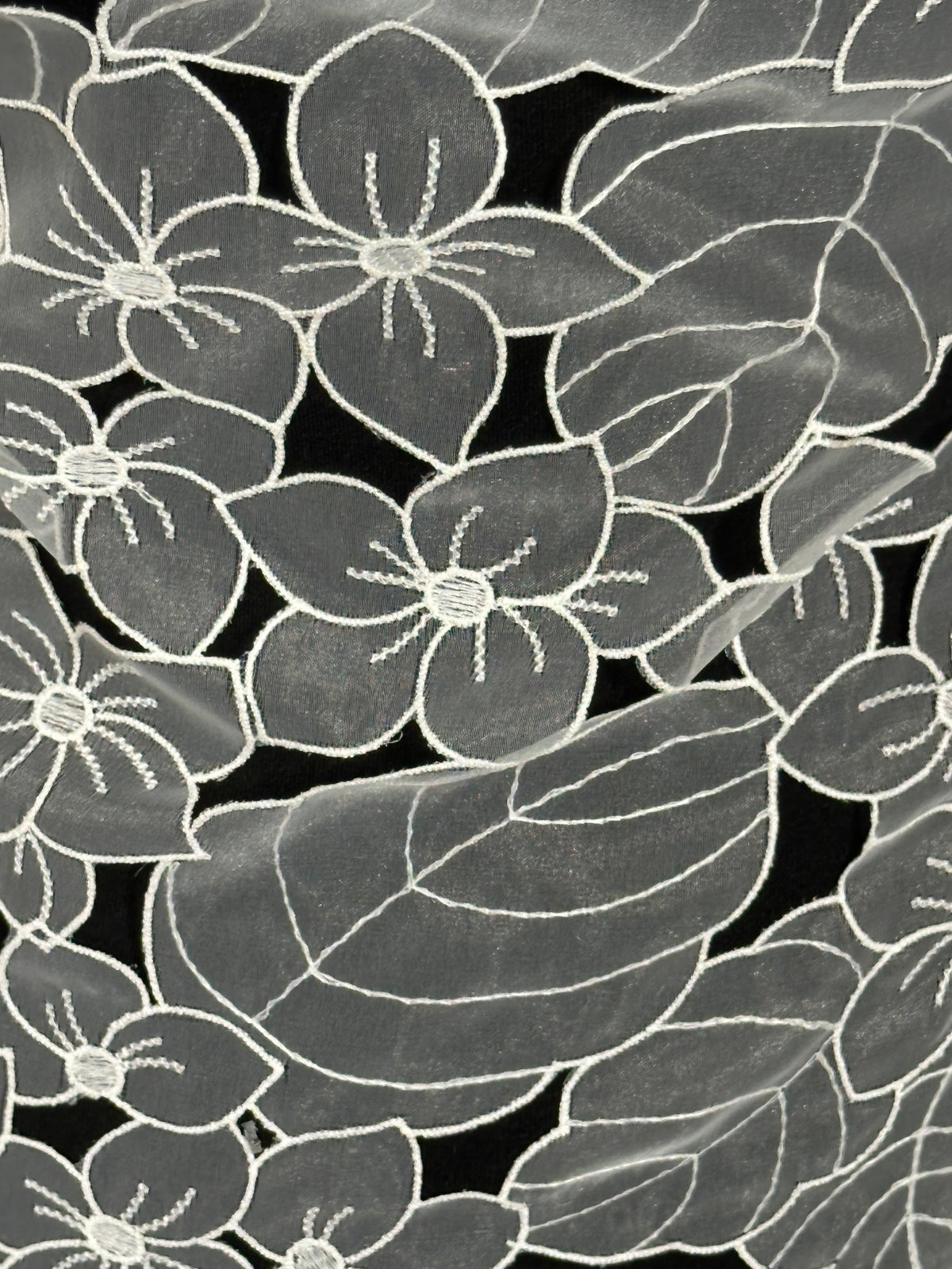 Dentelle organza ivoire - Capacité