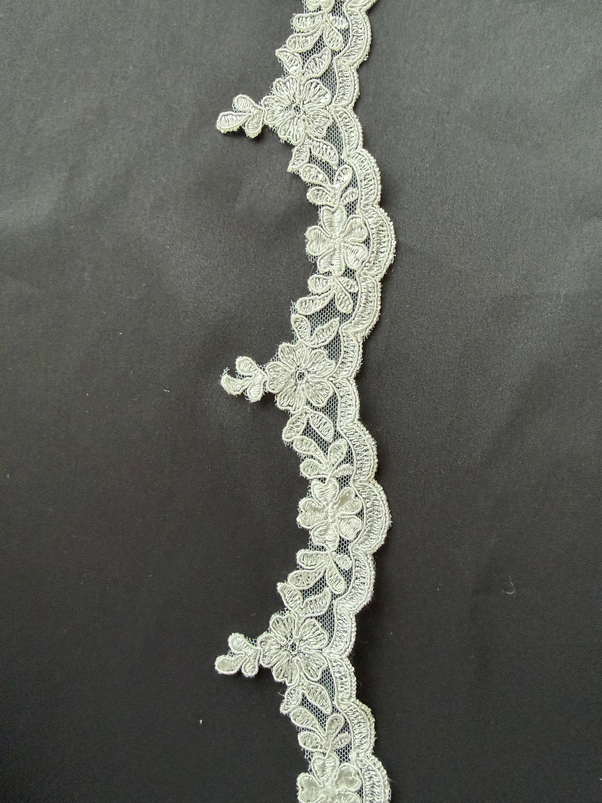 Ivory Corded Lace Trim - T642