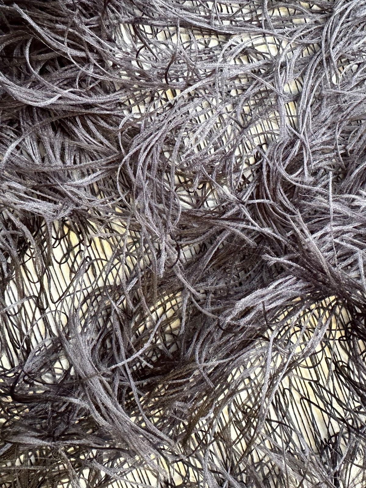 Dentelle de plumes noires - Agenda