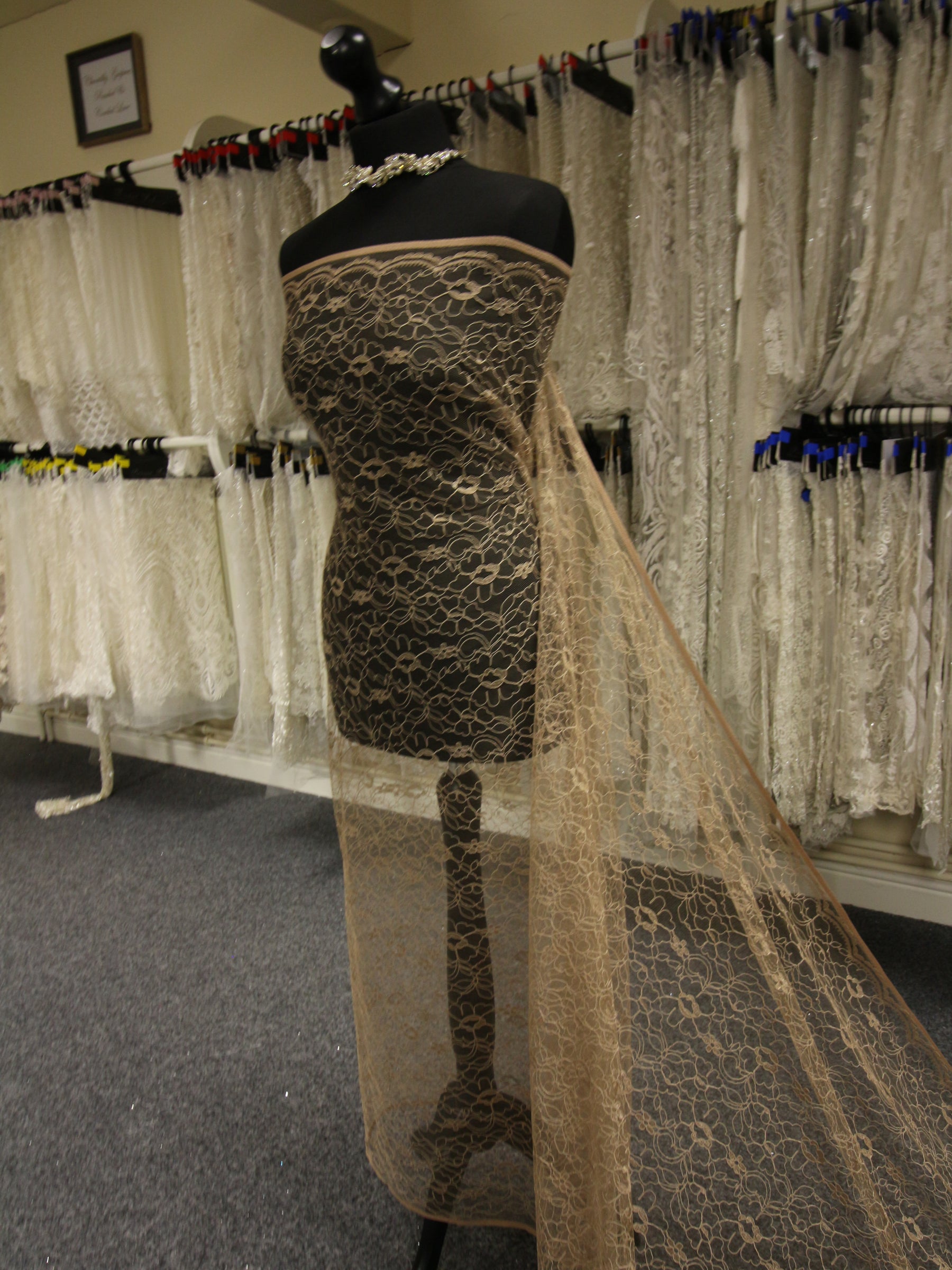 Dentelle Cordée en Cappuccino - Leanne