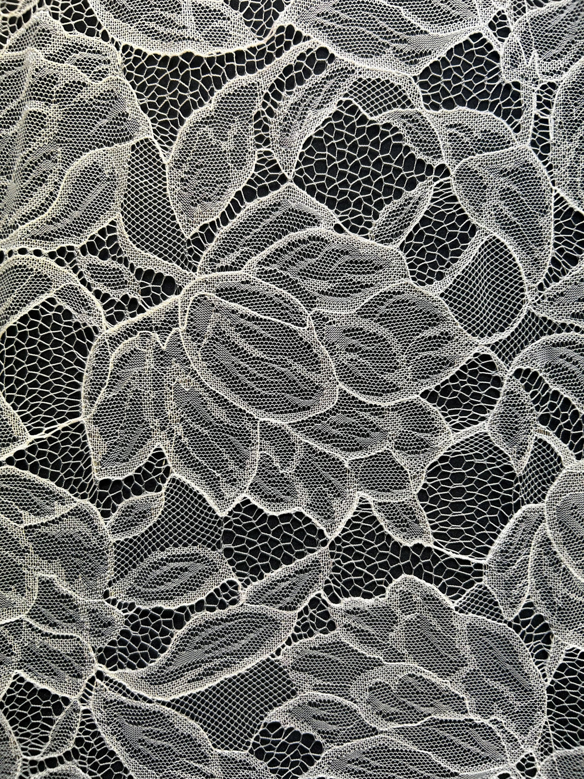 Dentelle Raschel ivoire - Carole