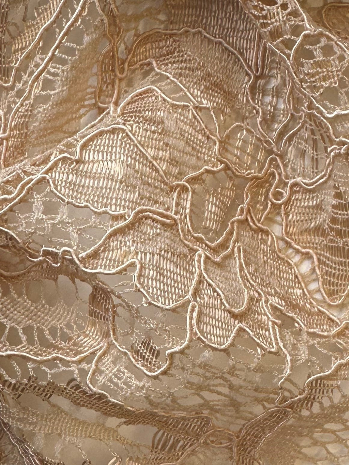 Dentelle cordée champagne - Tocca