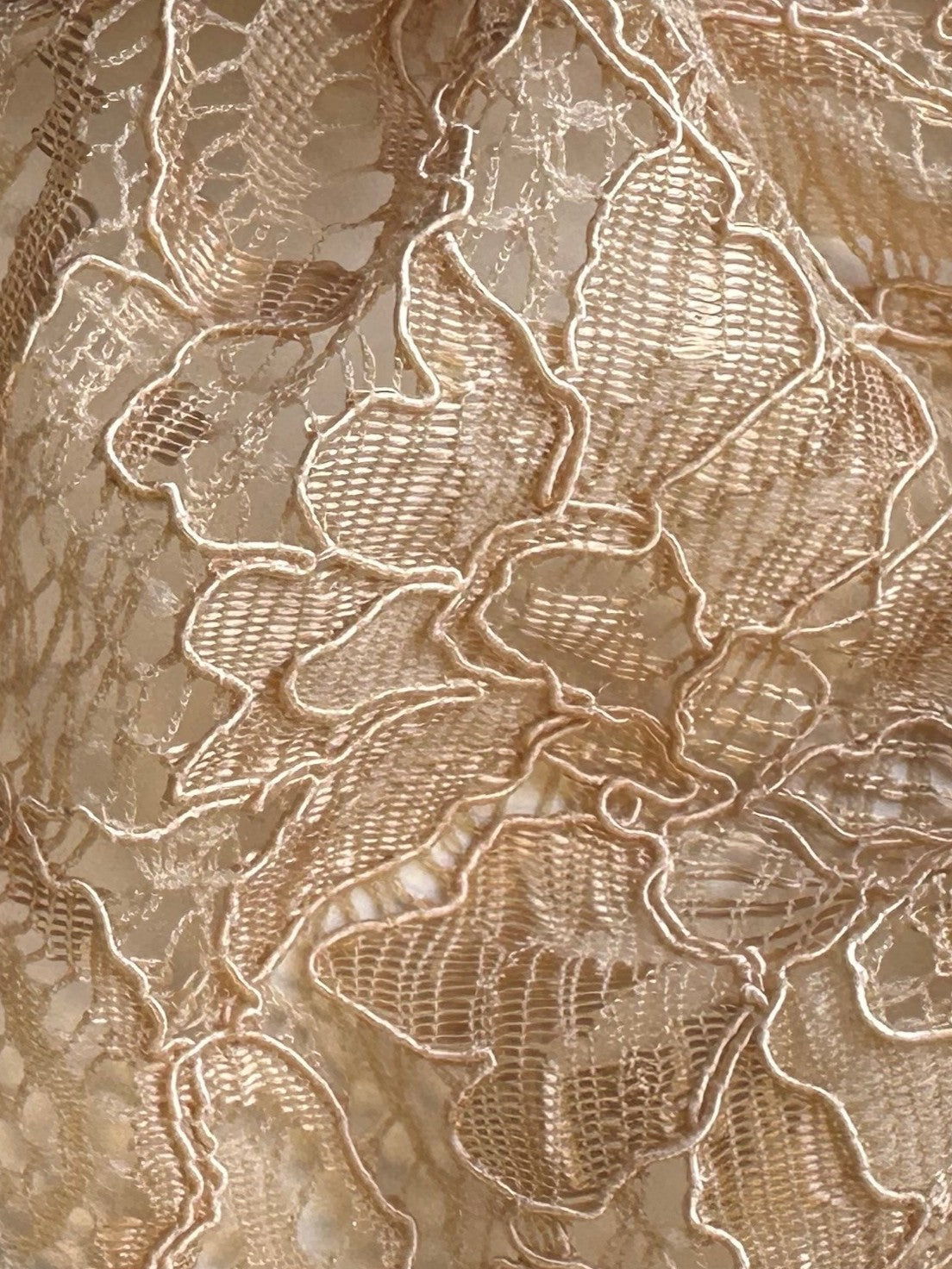 Dentelle cordée champagne - Tocca