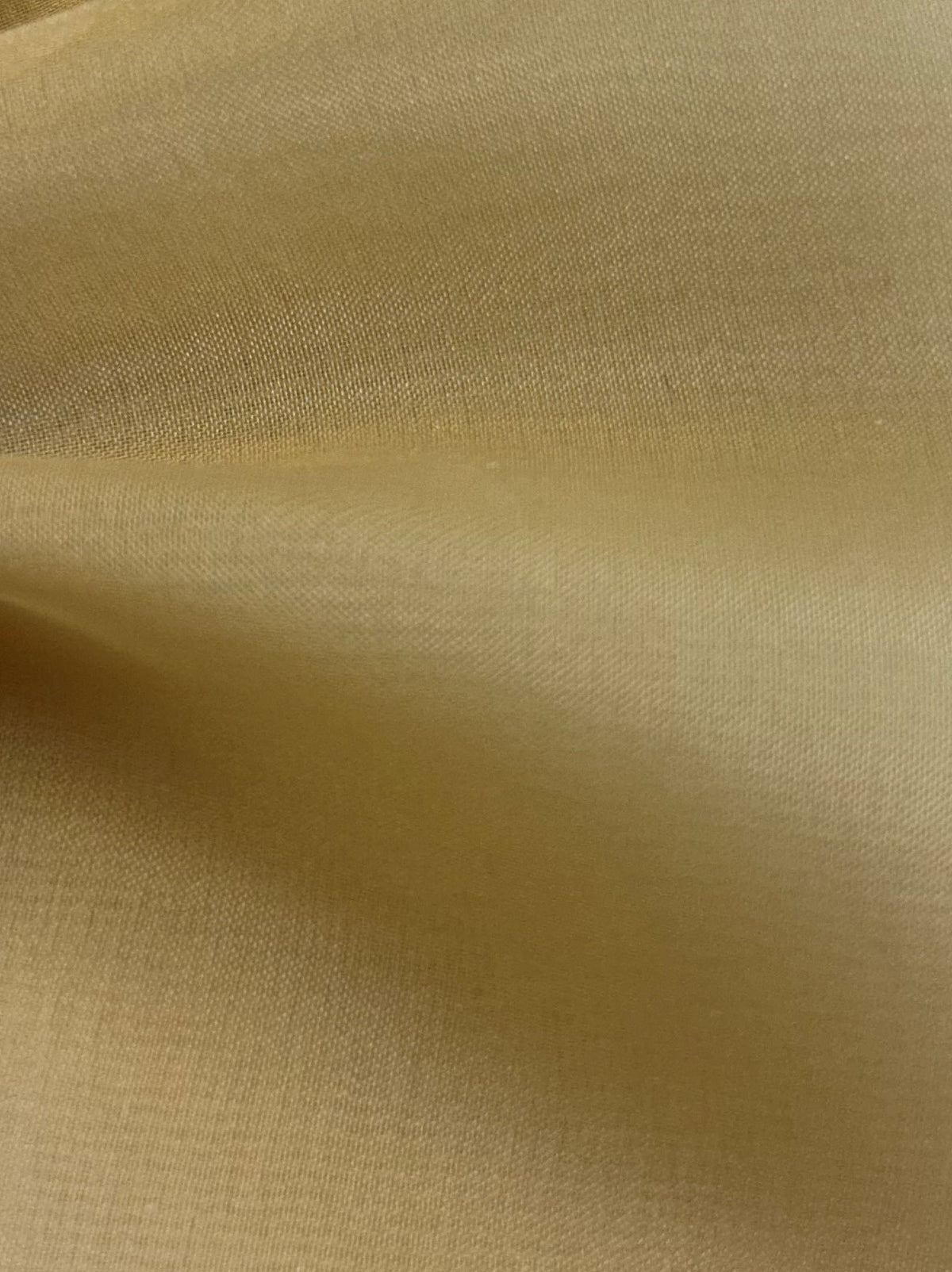 Organza de Soie Café - Évolution