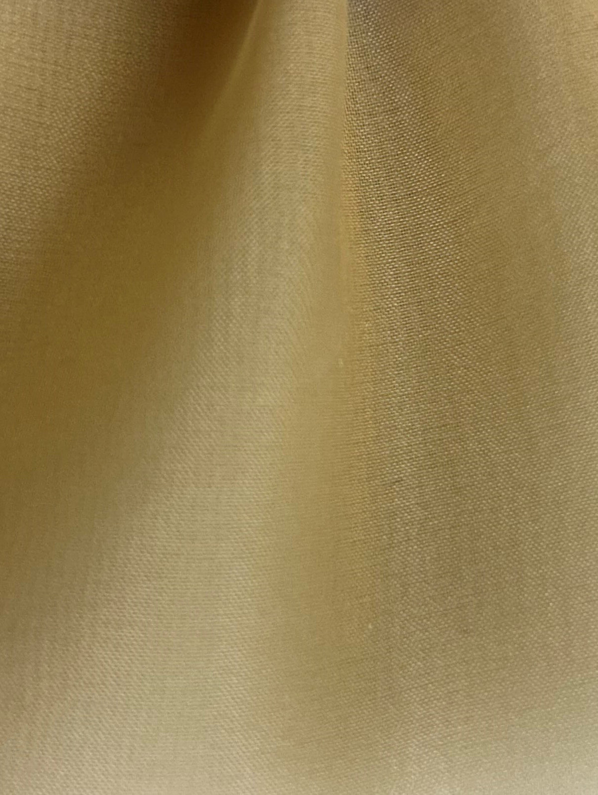 Organza de Soie Café - Évolution