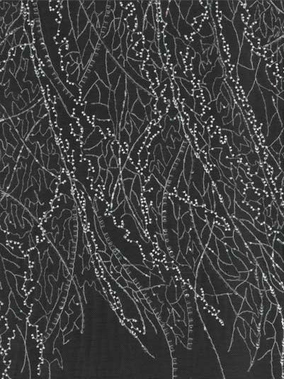 Tulle brodé de perles ivoire - EB1065