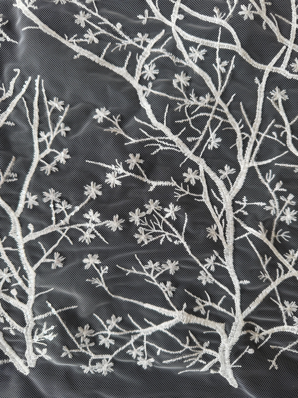 Dentelle brodée de sequins ivoire - EB3043