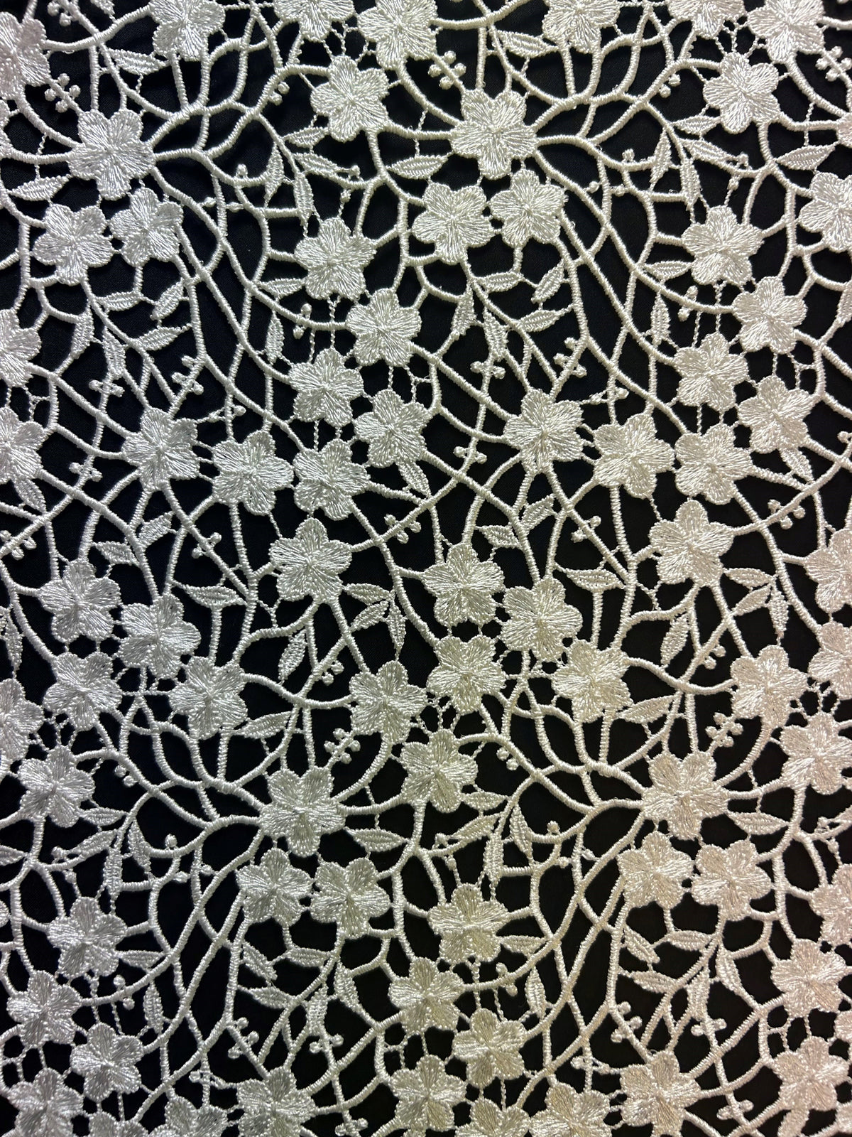 Dentelle Guipure Ivoire - Ebba