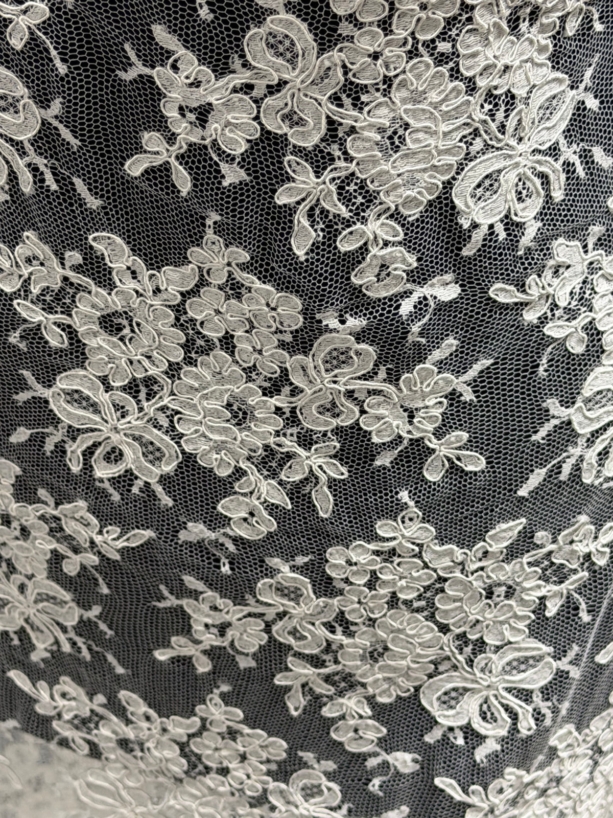 Dentelle Chantilly ivoire à cordon – Zetina