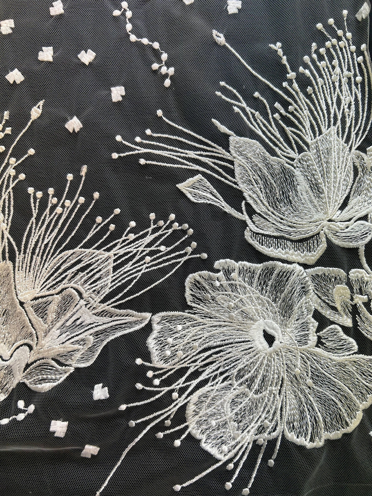 Dentelle Brodée Ivoire - Gioconda