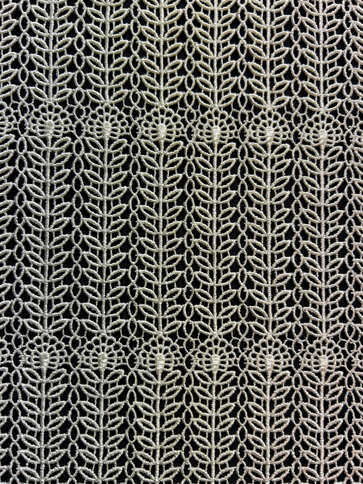 Dentelle Guipure Ivoire à prix réduit - Grace