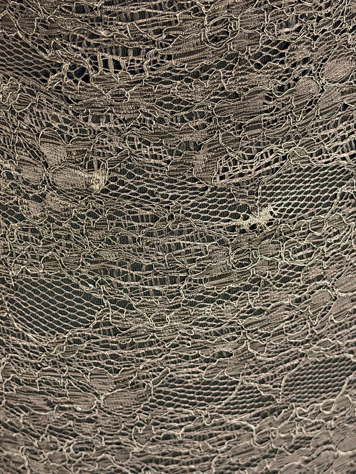 Chocolate Corded Lace - Landon