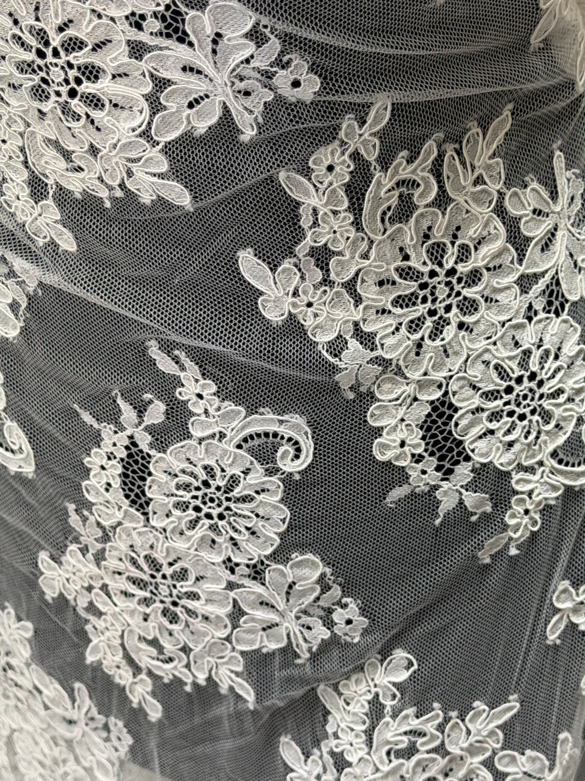 Dentelle Cordonnée Ivoire - P655