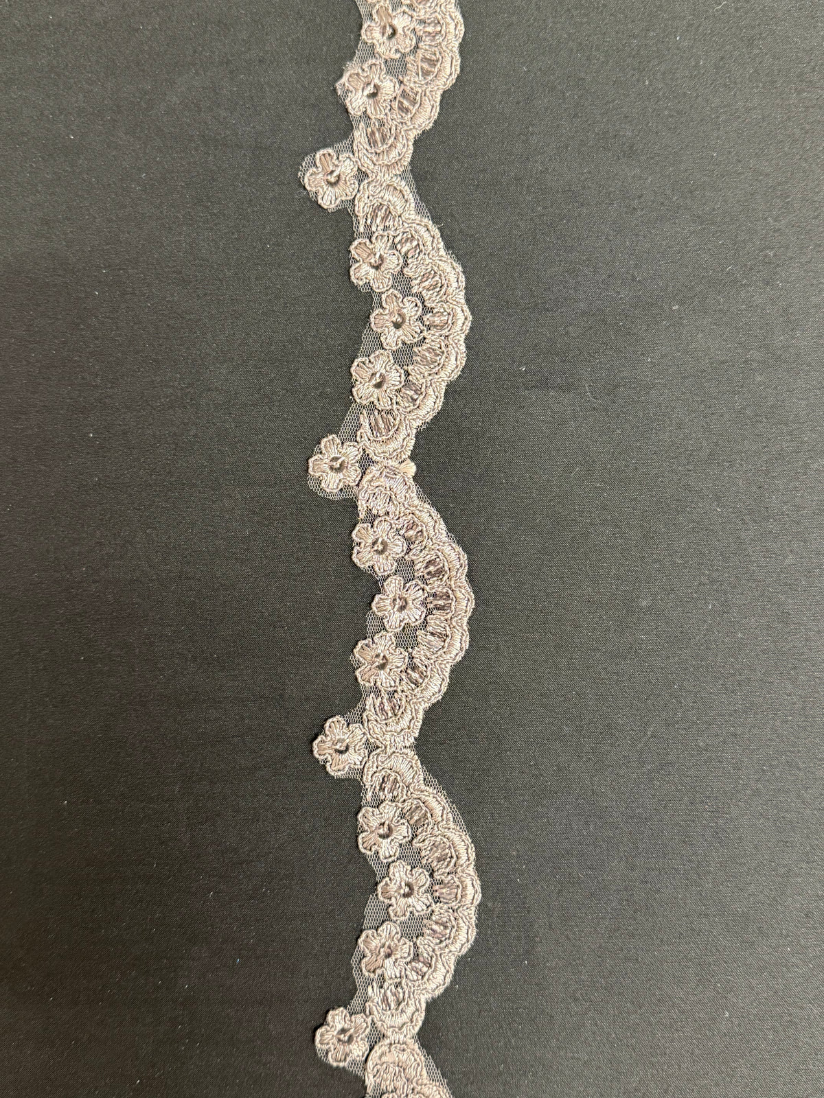 Bordure à paillettes cordée taupe - T713