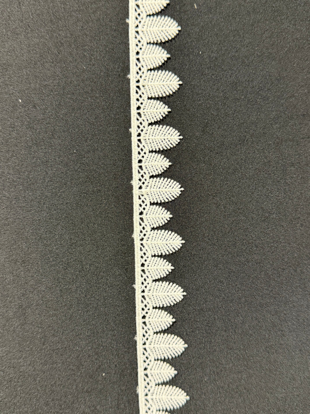 Bordure ivoire - EF4013
