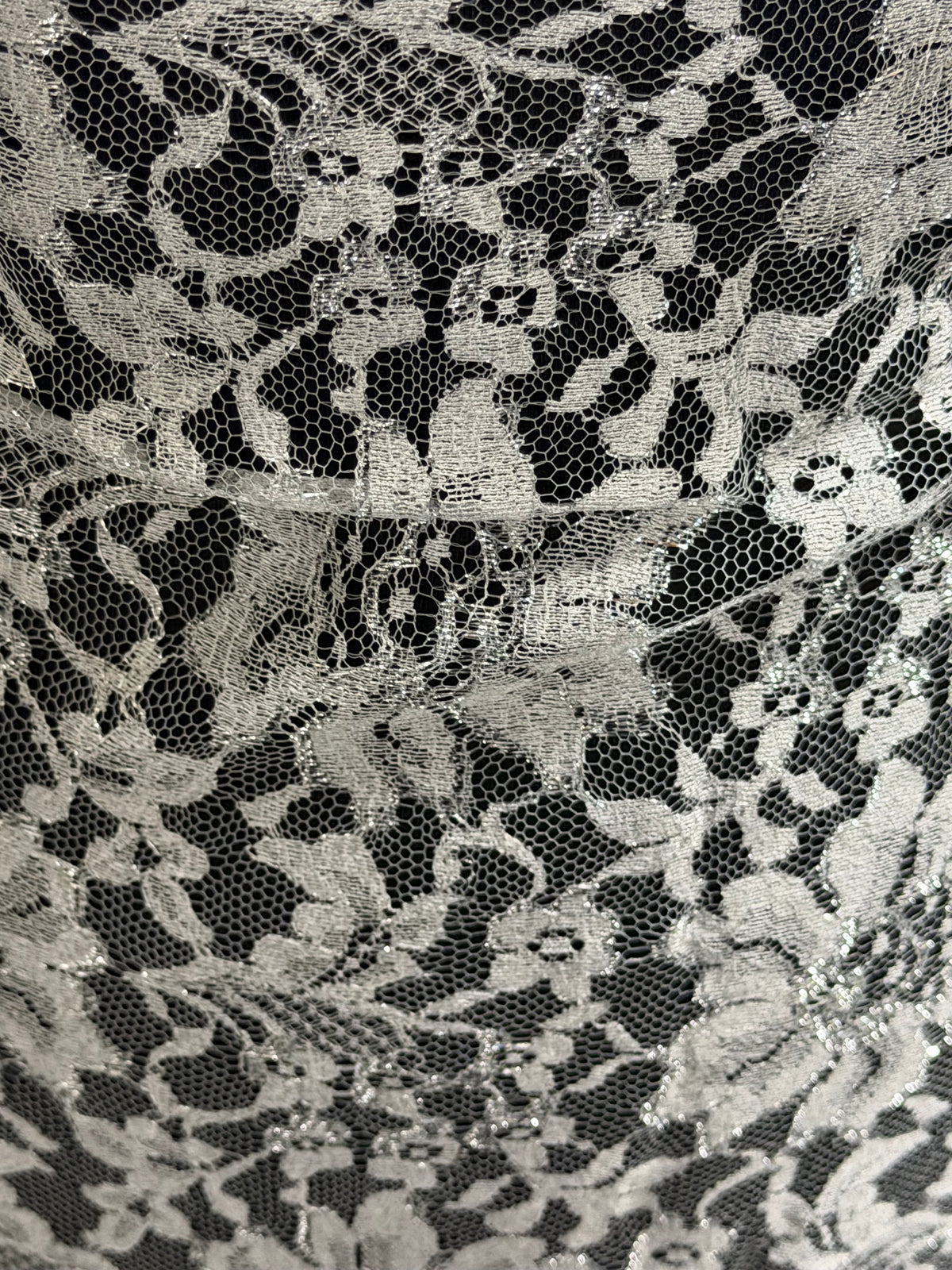Dentelle Chantilly Argent Métallisé - P184