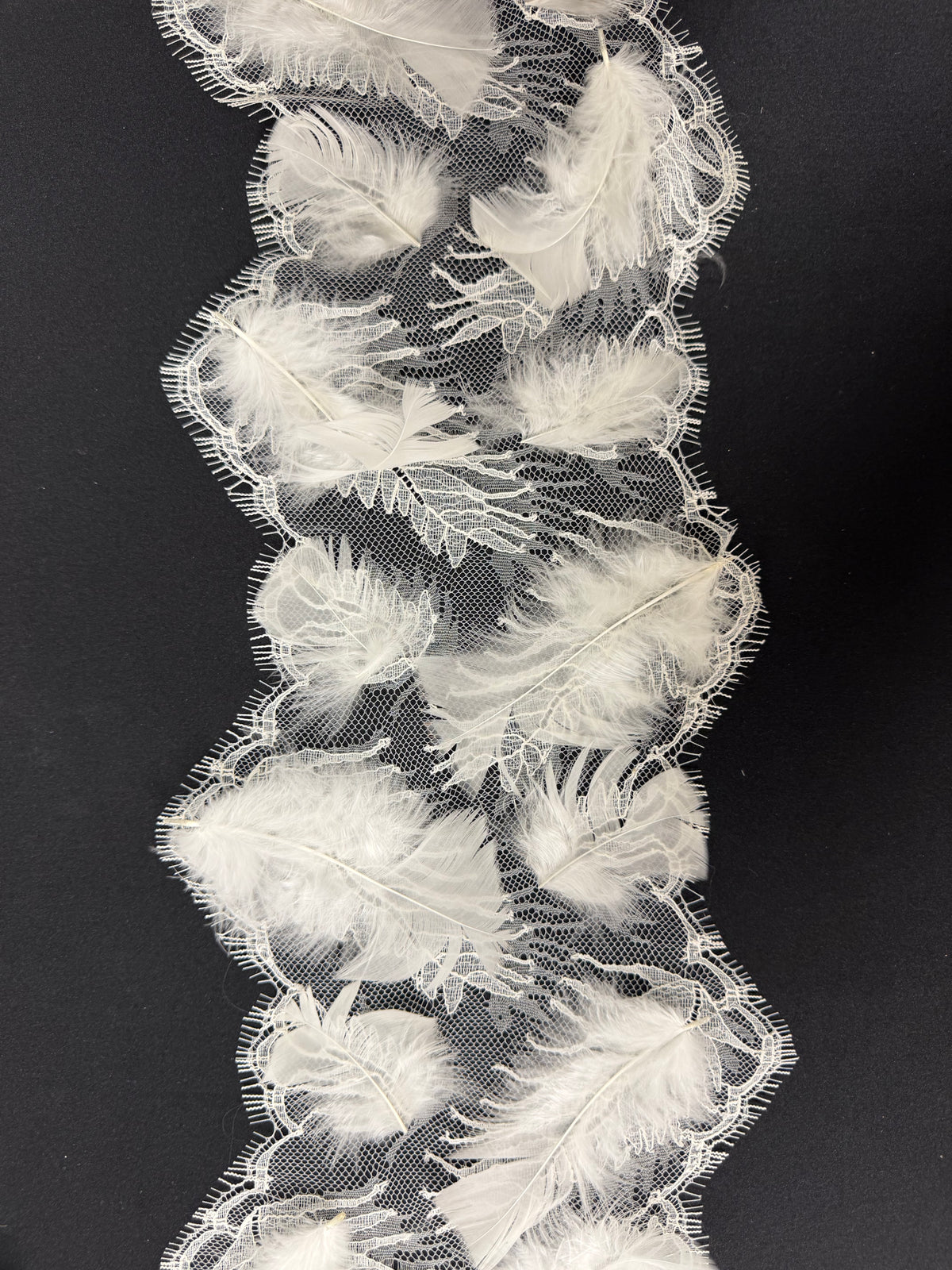 Bordure Plume Ivoire - T922