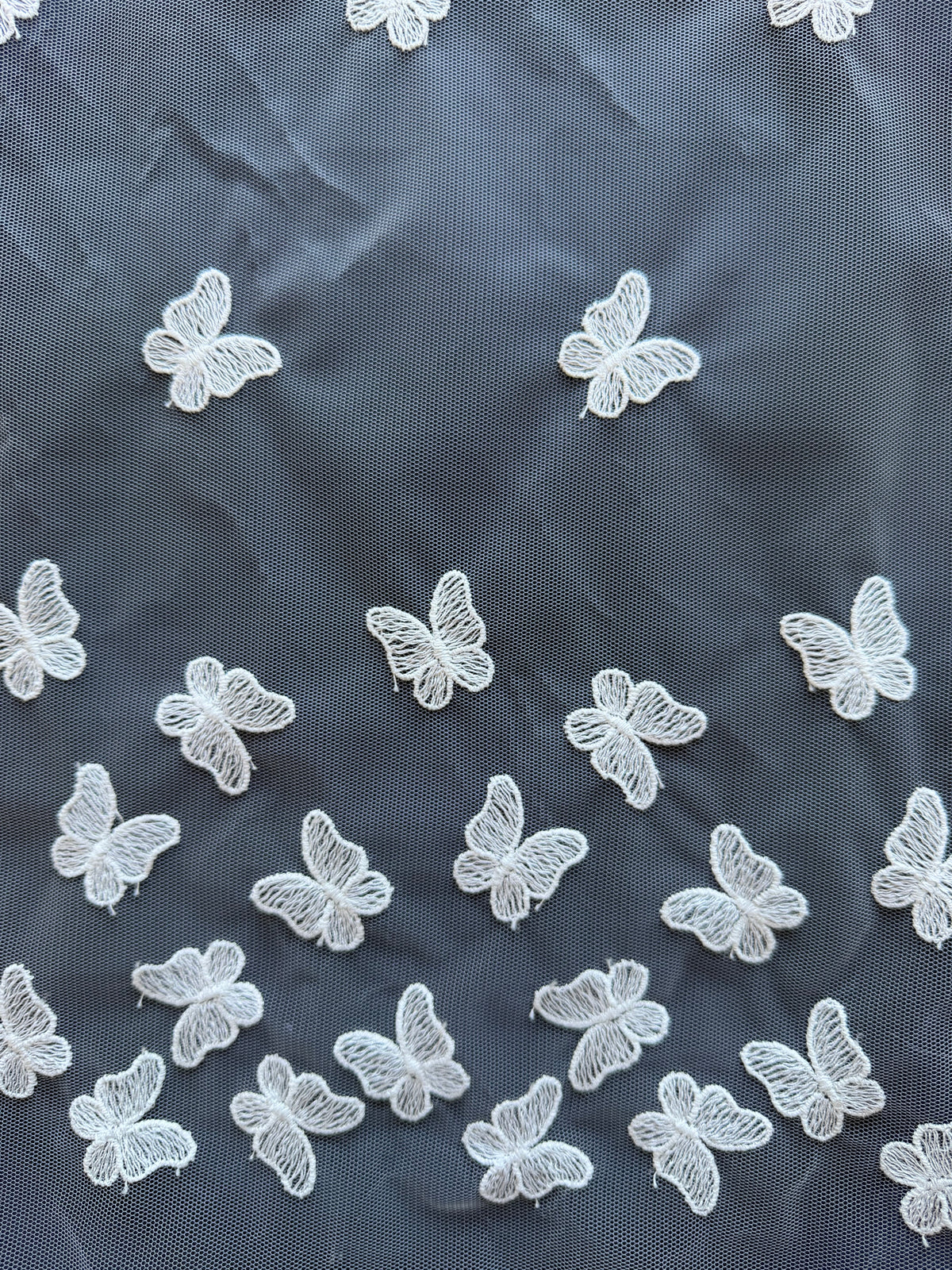 Dentelle Papillon Brodé Ivoire – EU5001