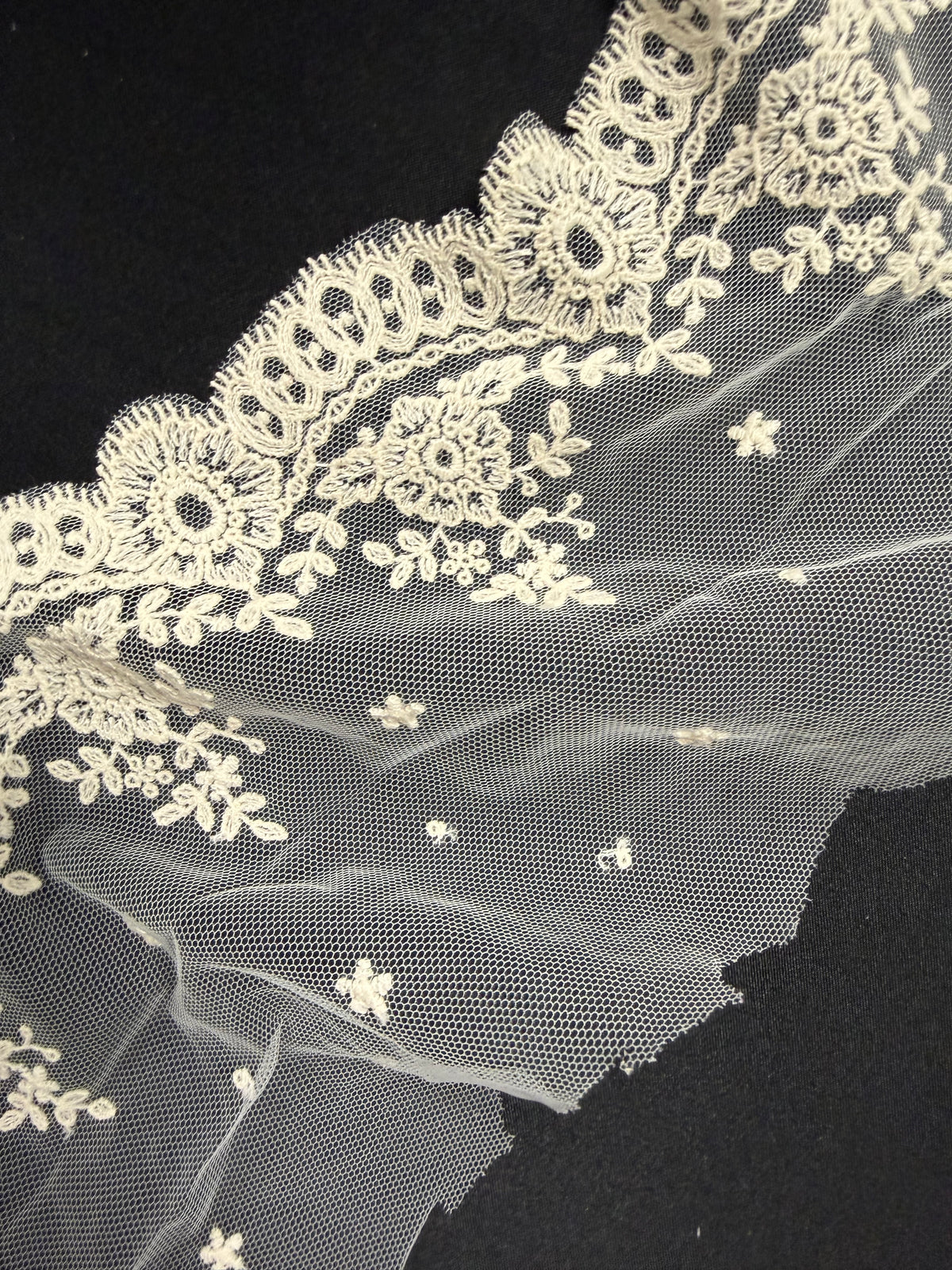 Galon de dentelle en coton brodé ivoire - T275