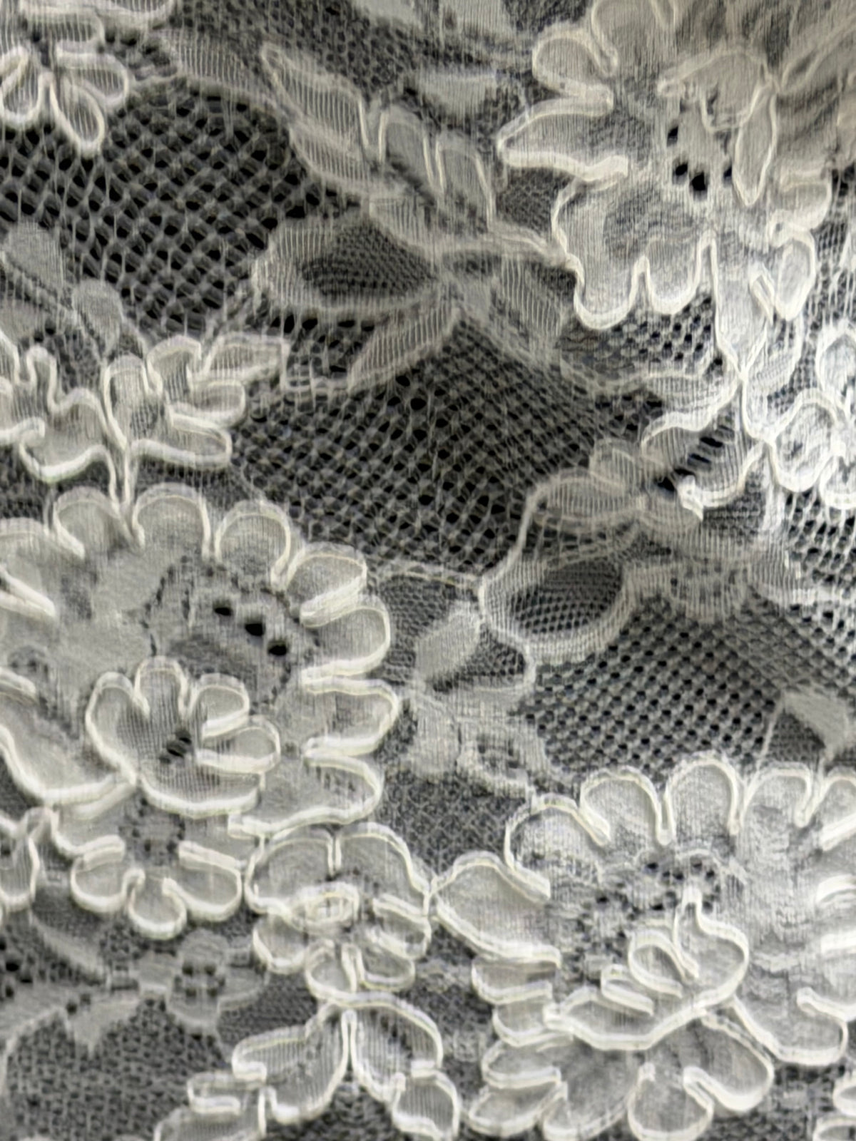 Dentelle blanche à cordonnet - P442
