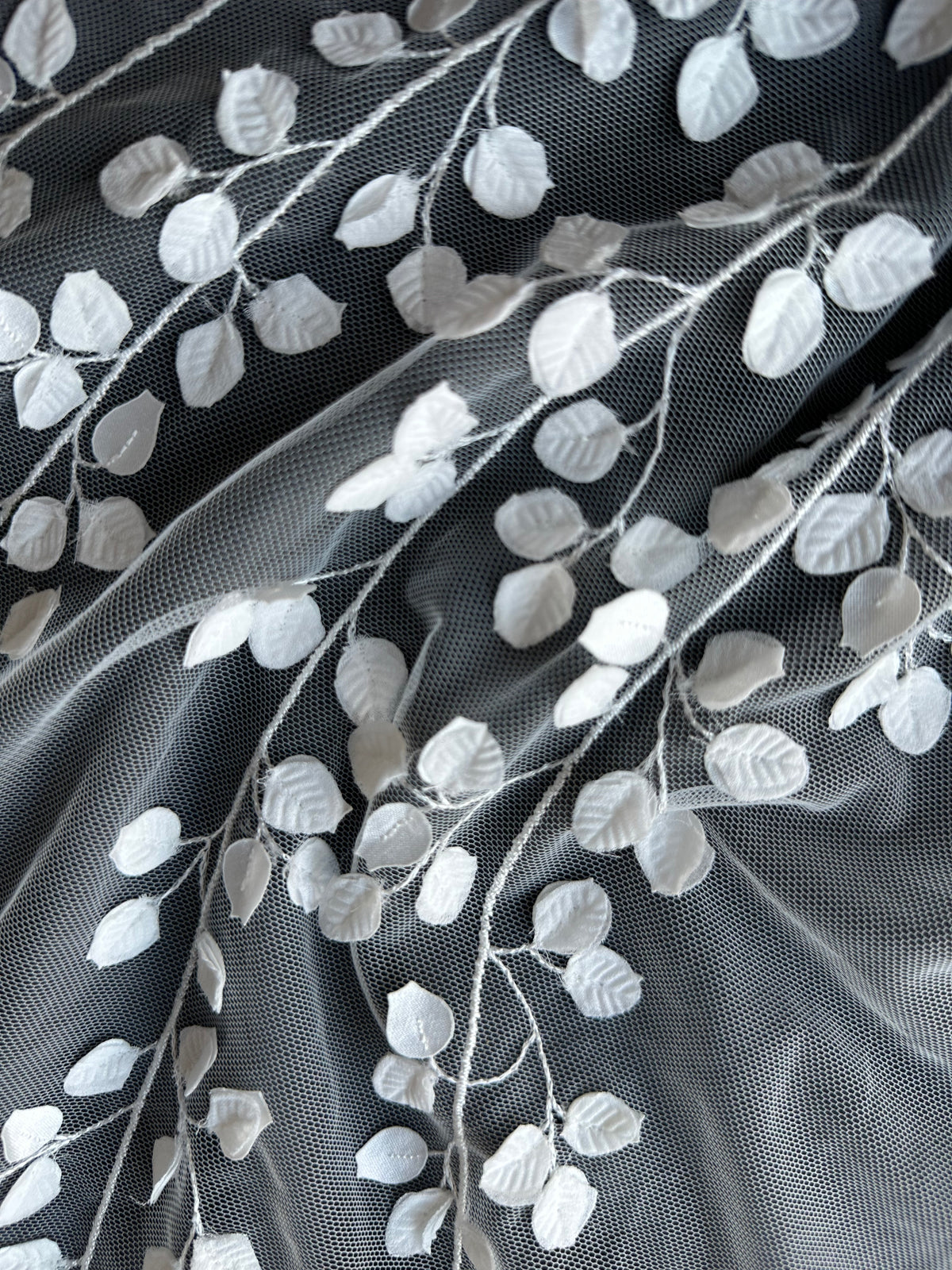 Dentelle brodée ivoire – EB5007