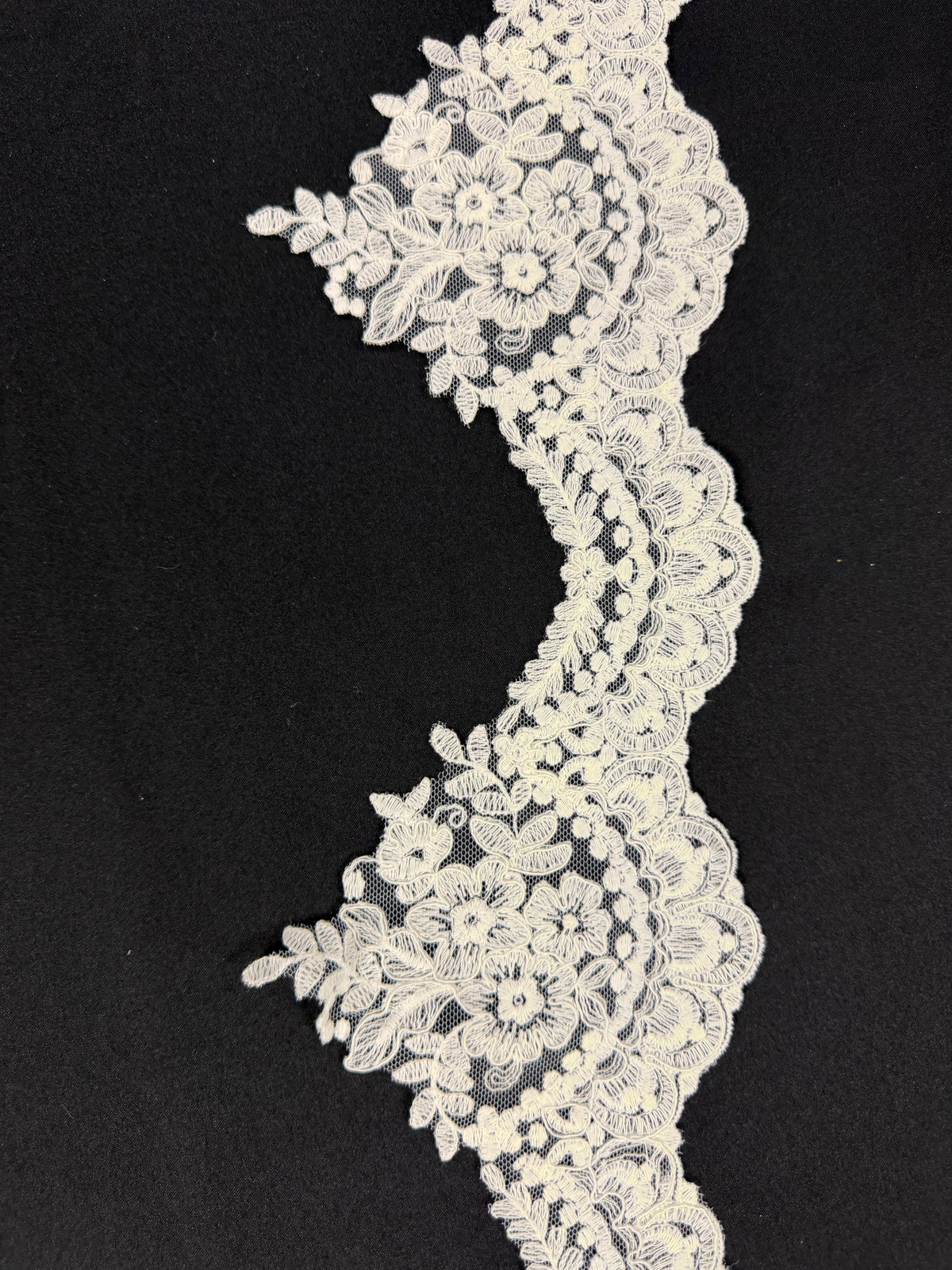 Galon de dentelle festonnée ivoire - T644