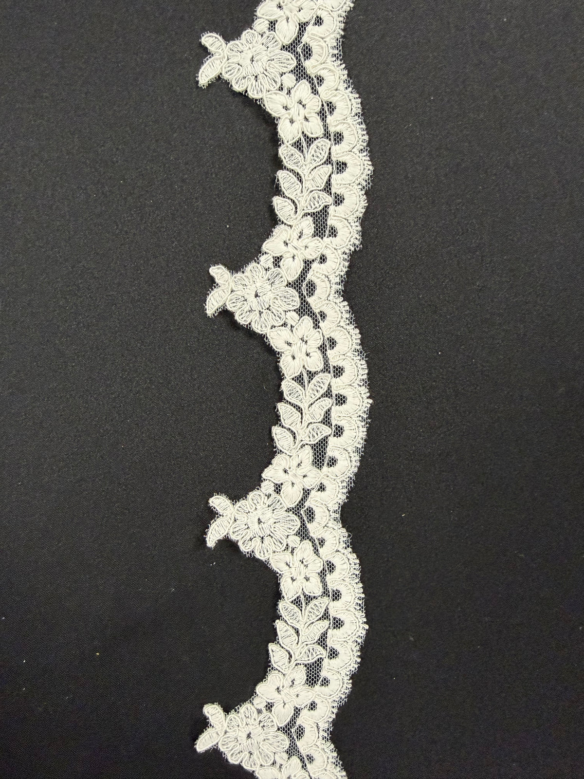 Bordure en dentelle festonnée ivoire - T662