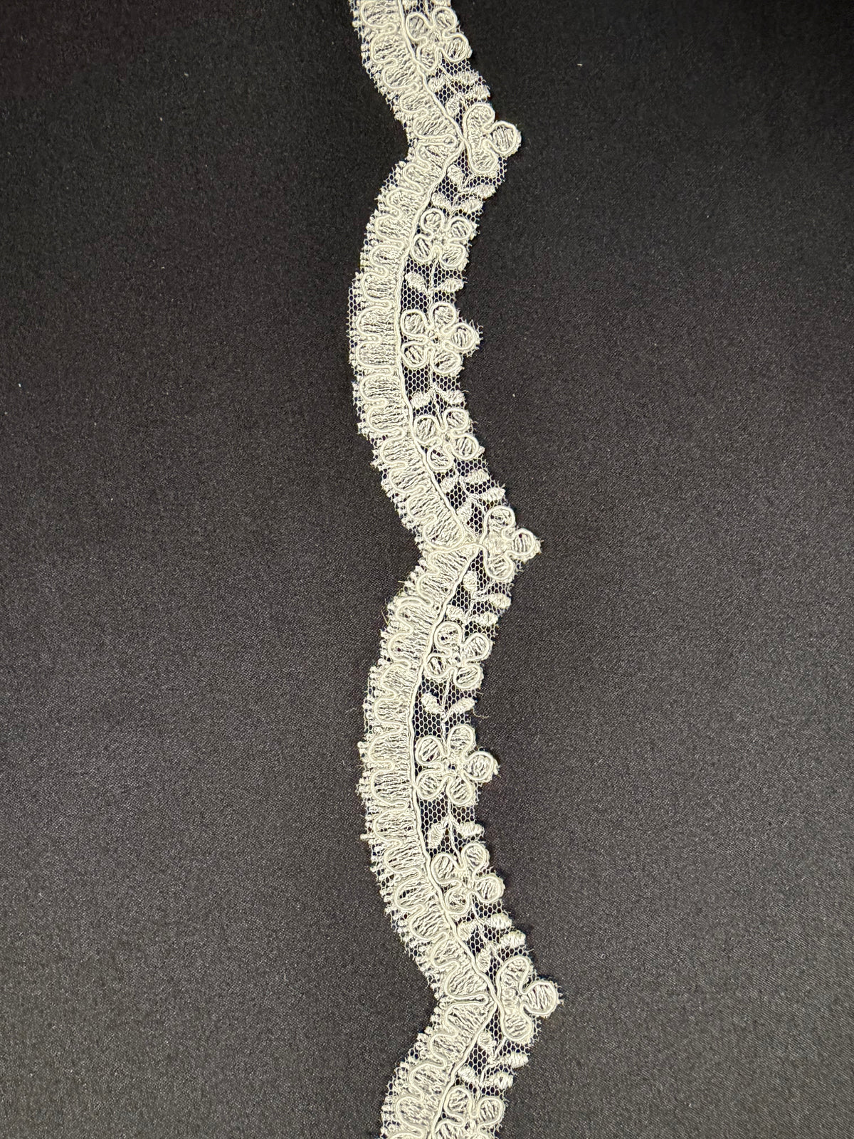Bordure en dentelle cordonnet ivoire - T665