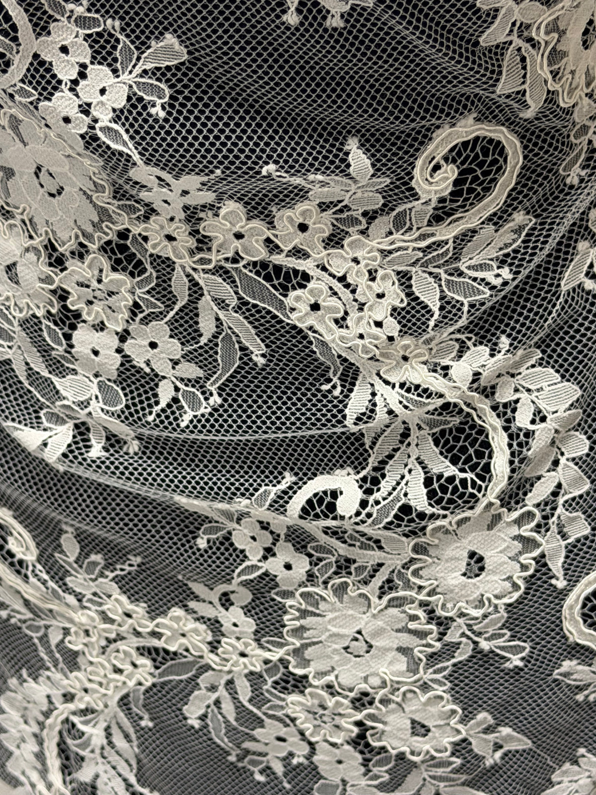 Dentelle Cordonnée Ivoire - Freddi