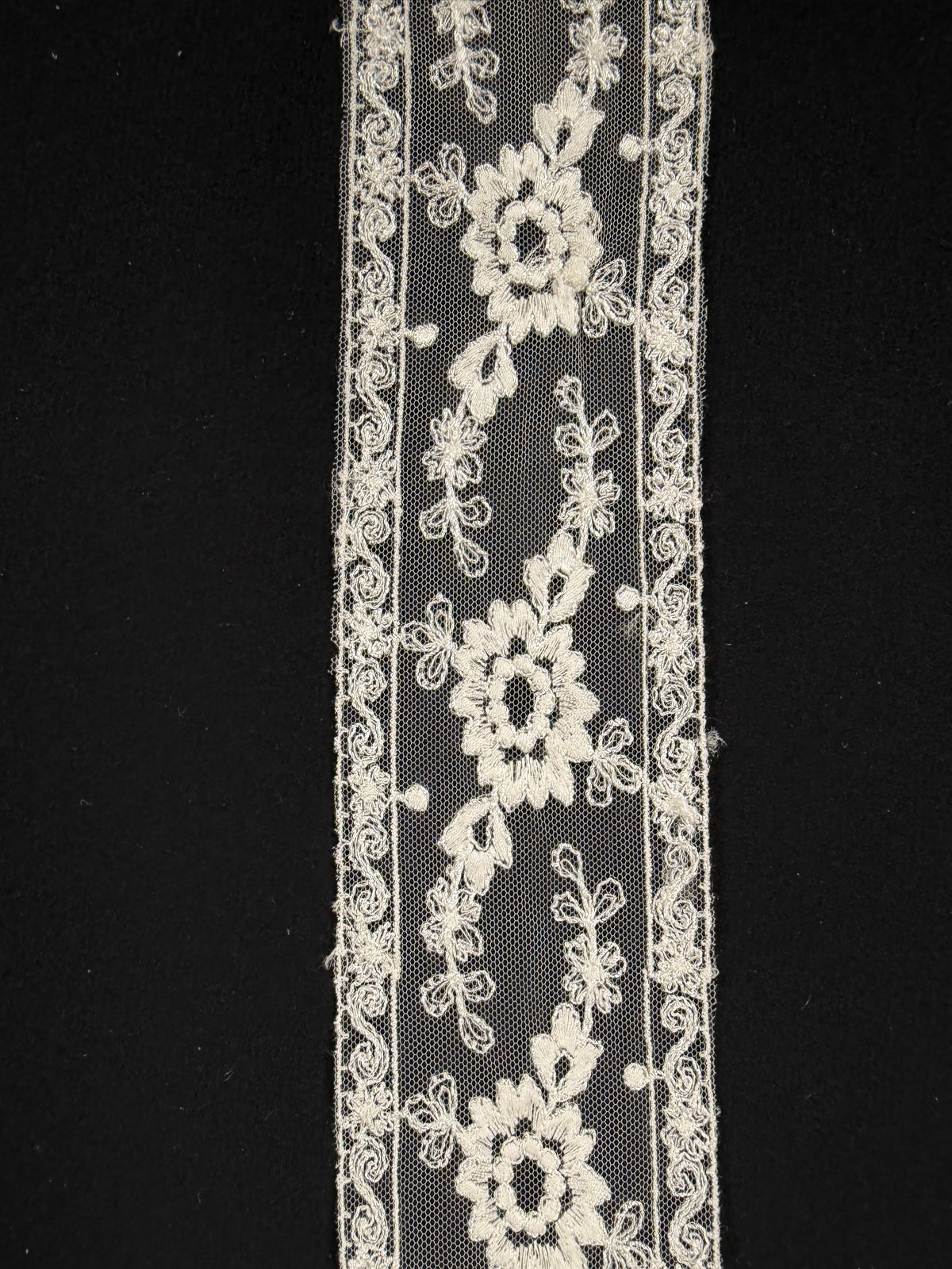 Bordure Ivoire - T235