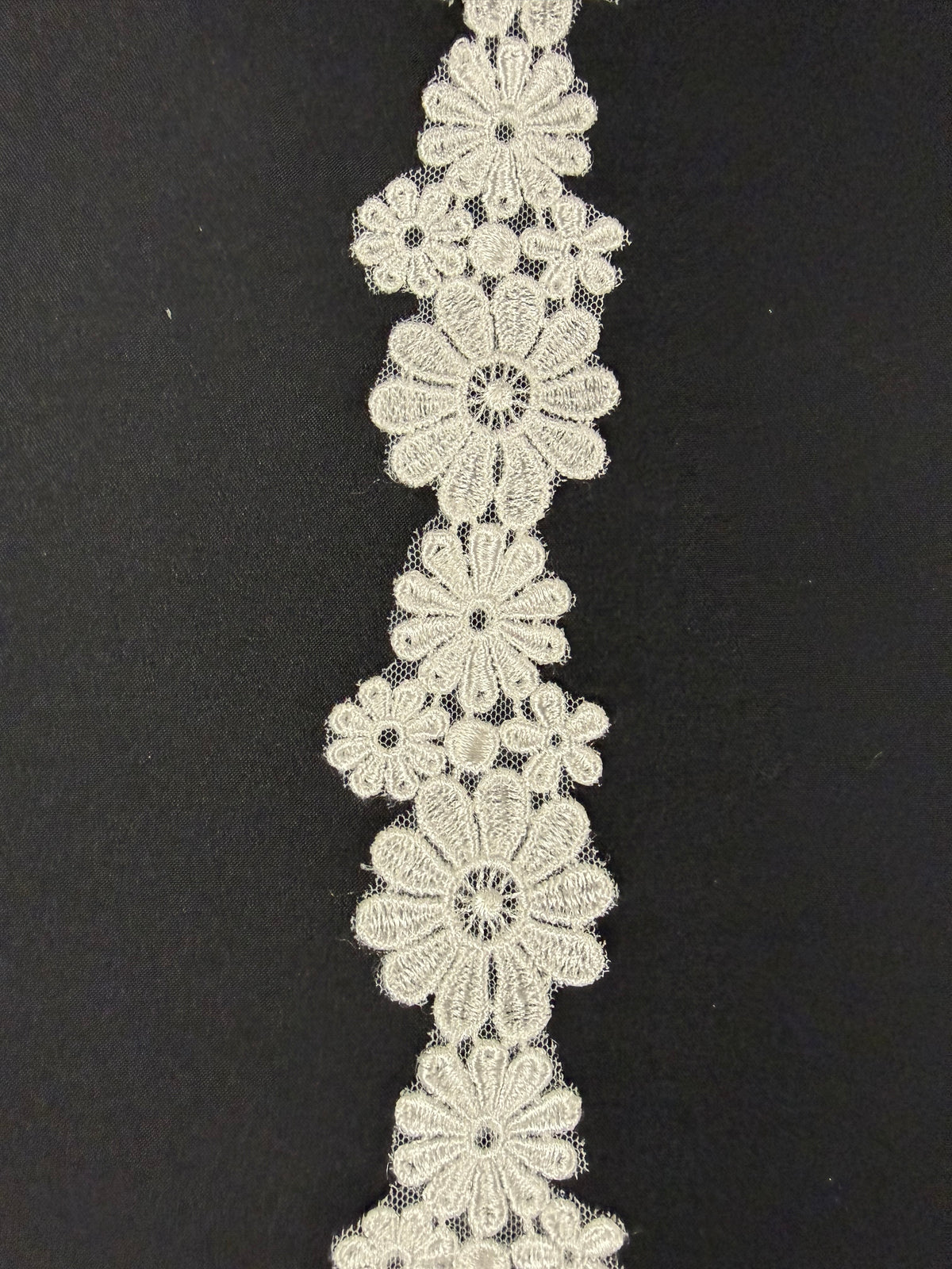 Galon de dentelle brodée ivoire - T934