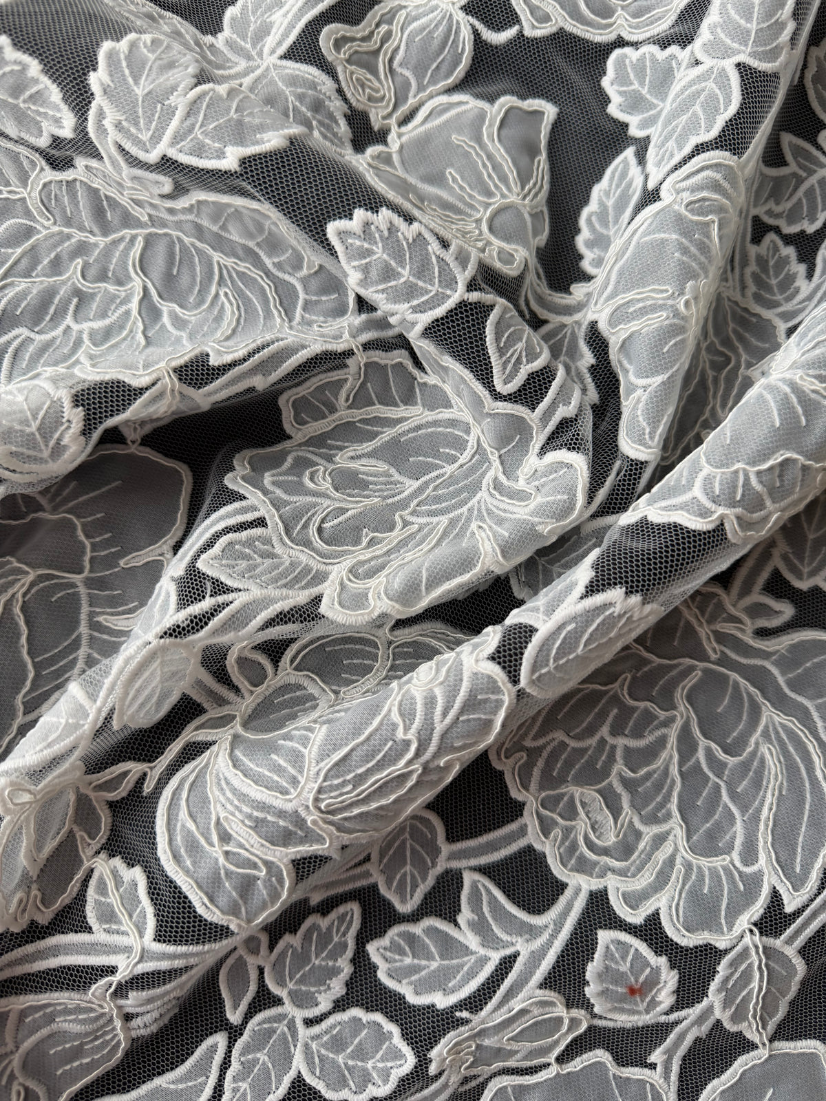 Dentelle brodée ivoire – Brave