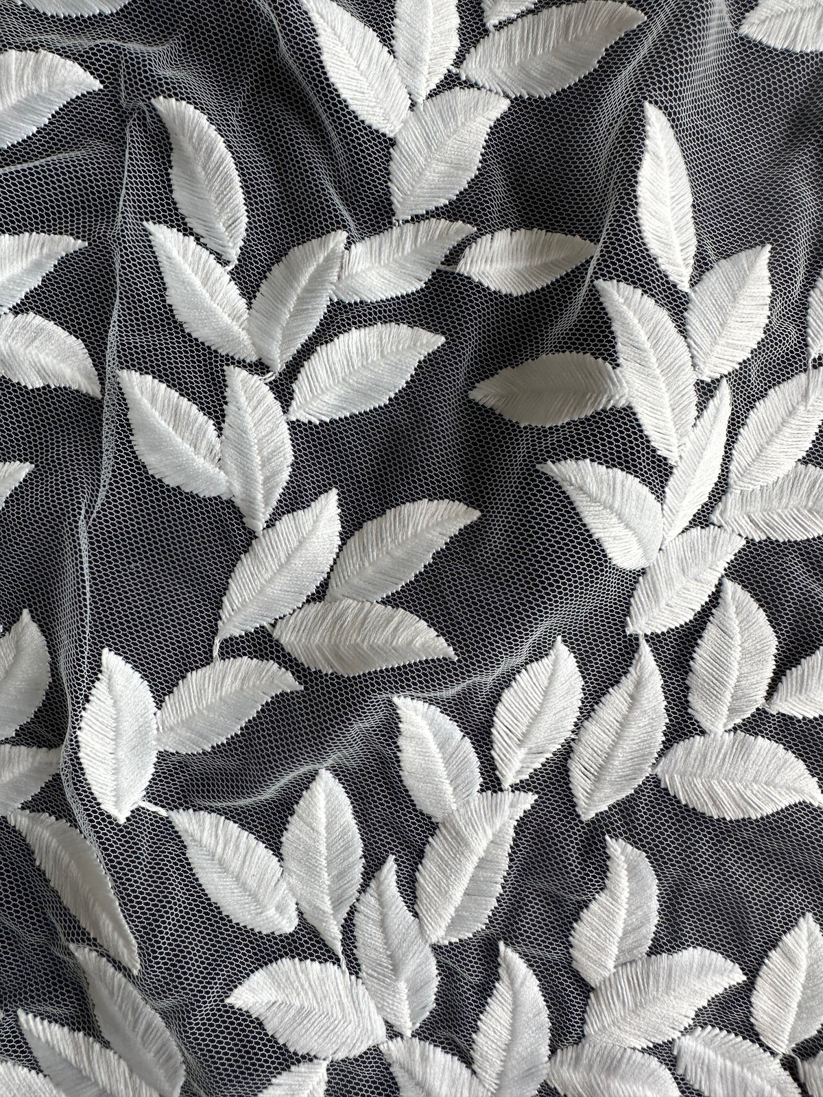 Dentelle brodée ivoire - Ferris