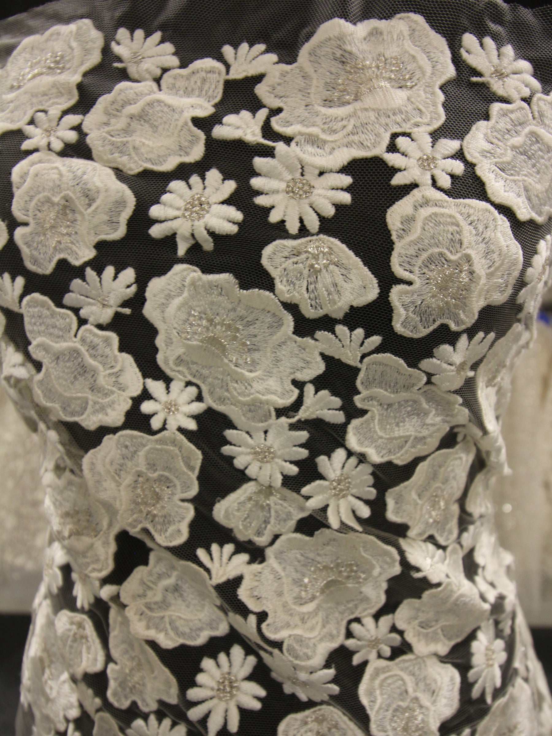 Dentelle Brodée Ivoire - Thora