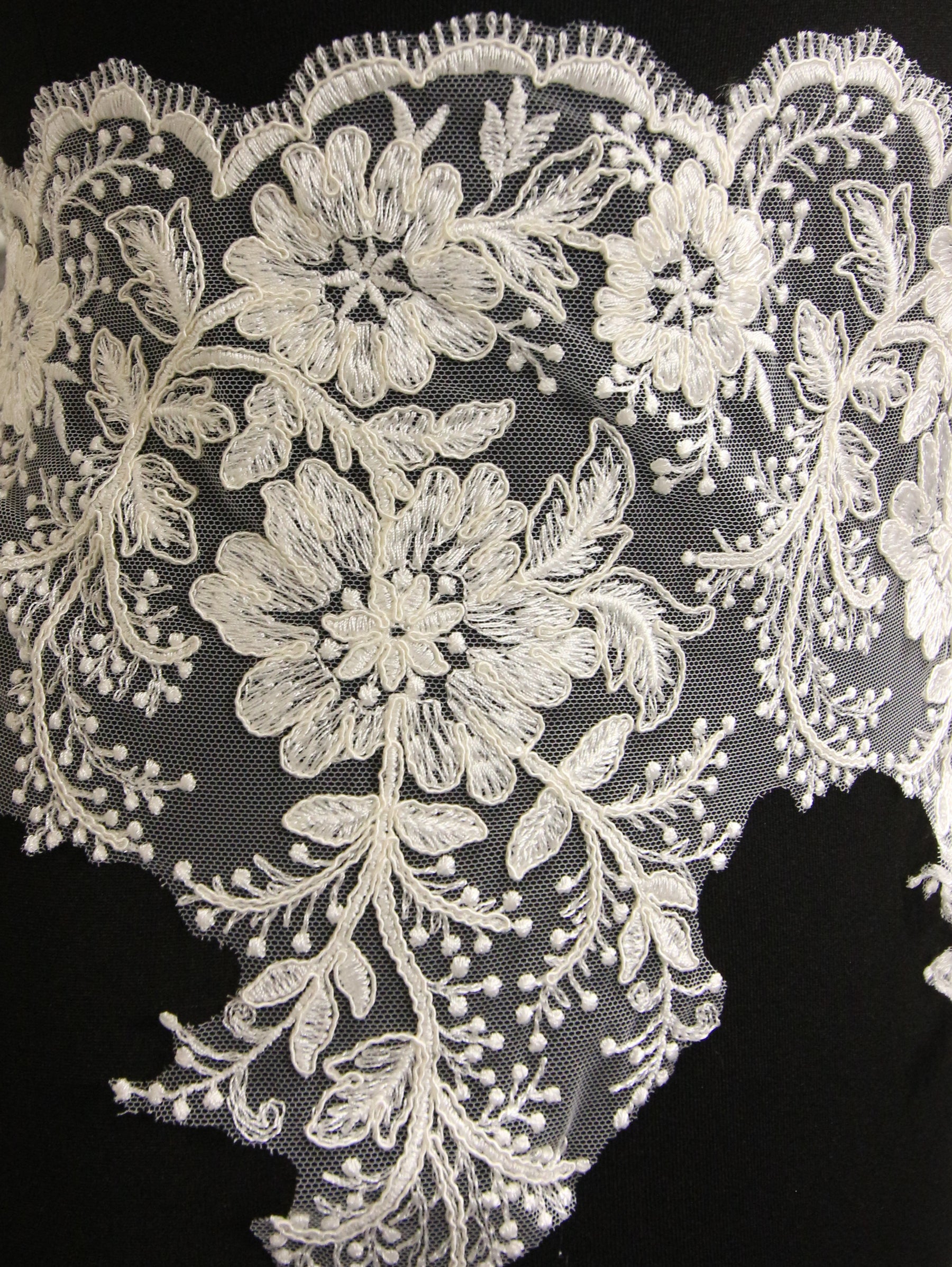Bordure en dentelle ivoire cordée – Wyoming