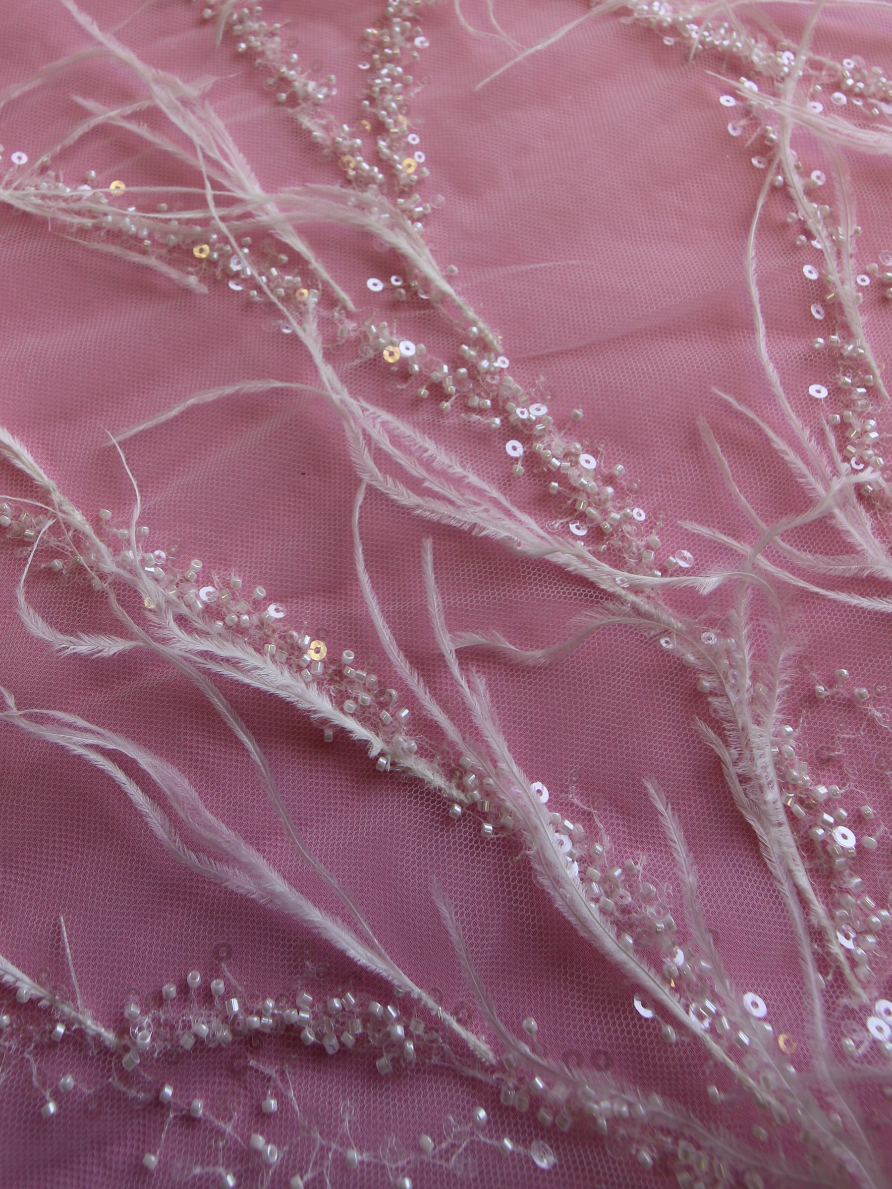 Dentelle Plume Ivoire - Chandler