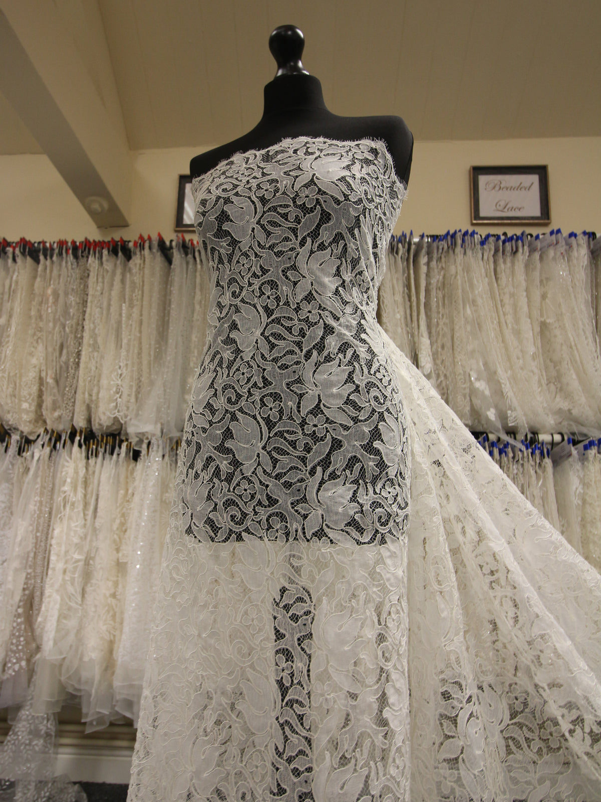 Dentelle Chantilly Ivoire Cordon - Fenella