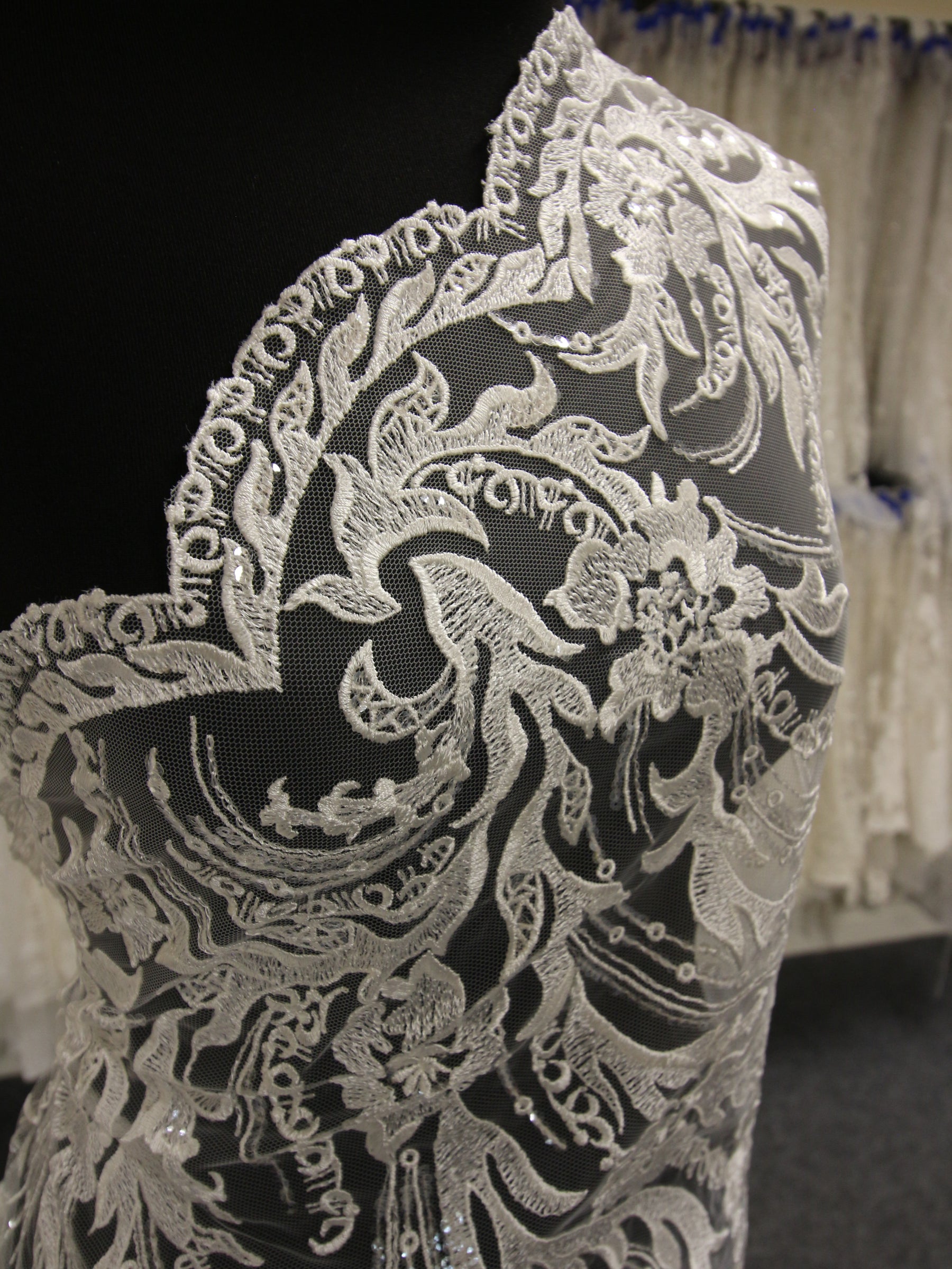 Dentelle Broderie Ivoire - Abrielle