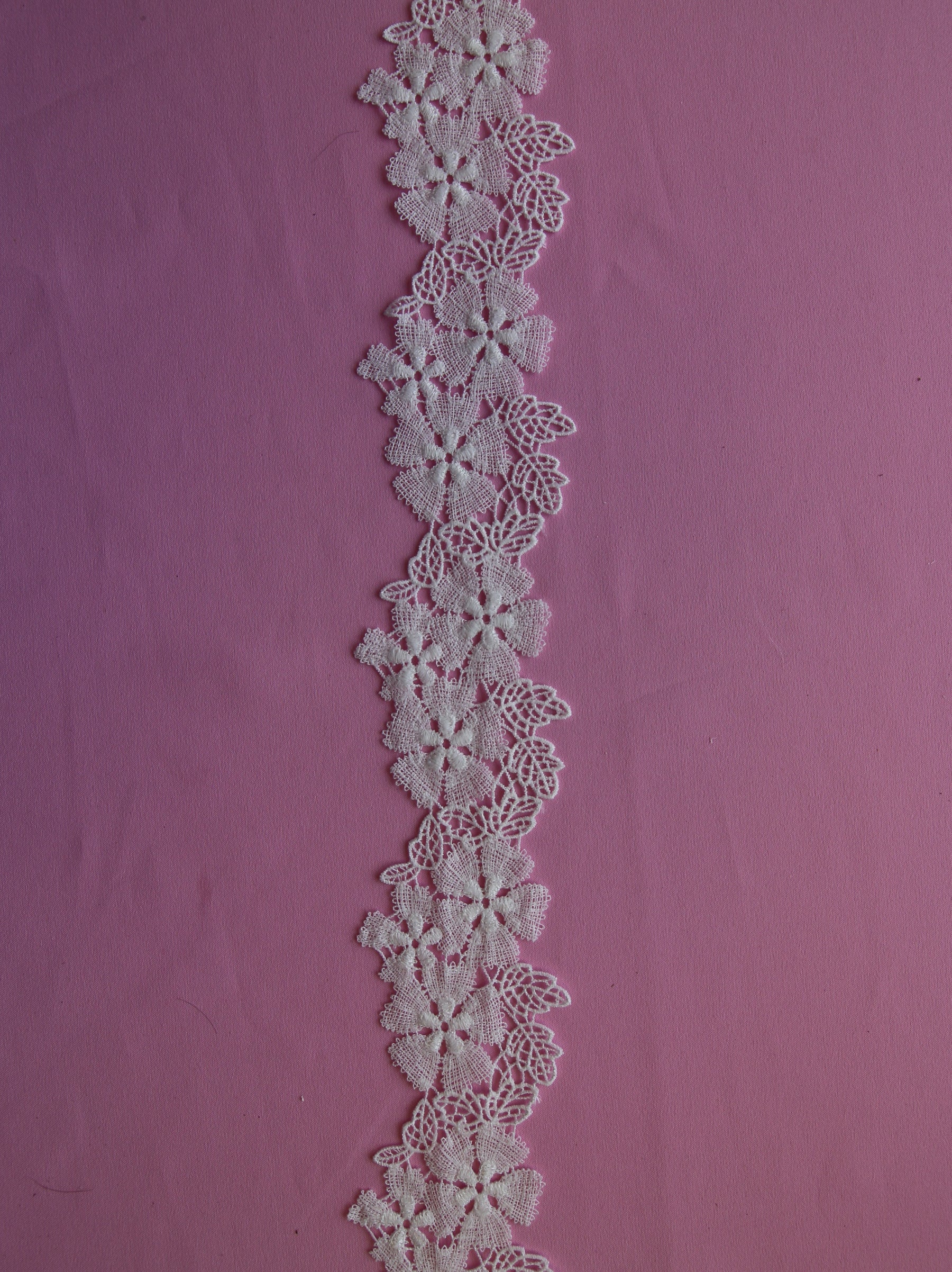 Bordure en Dentelle Ivoire - Elm