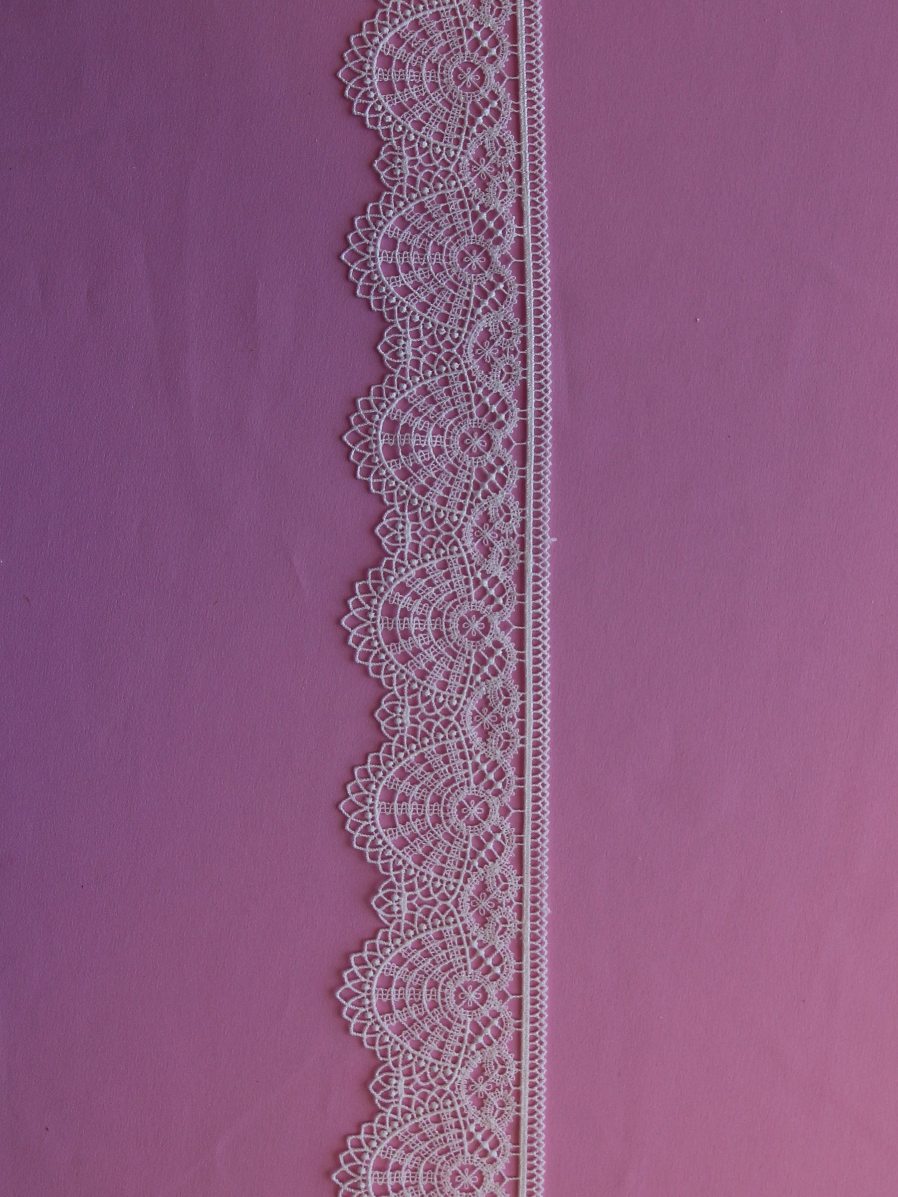 Galon Dentelle Ivoire - Eucalyptus