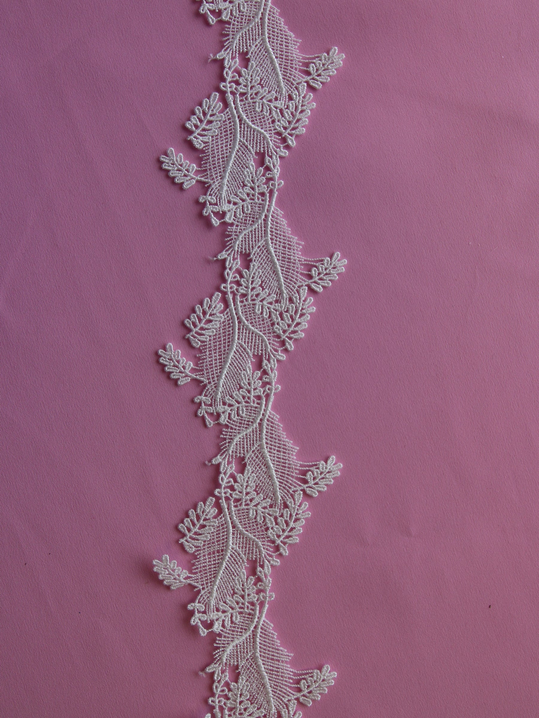 Galon Dentelle Ivoire - Linden