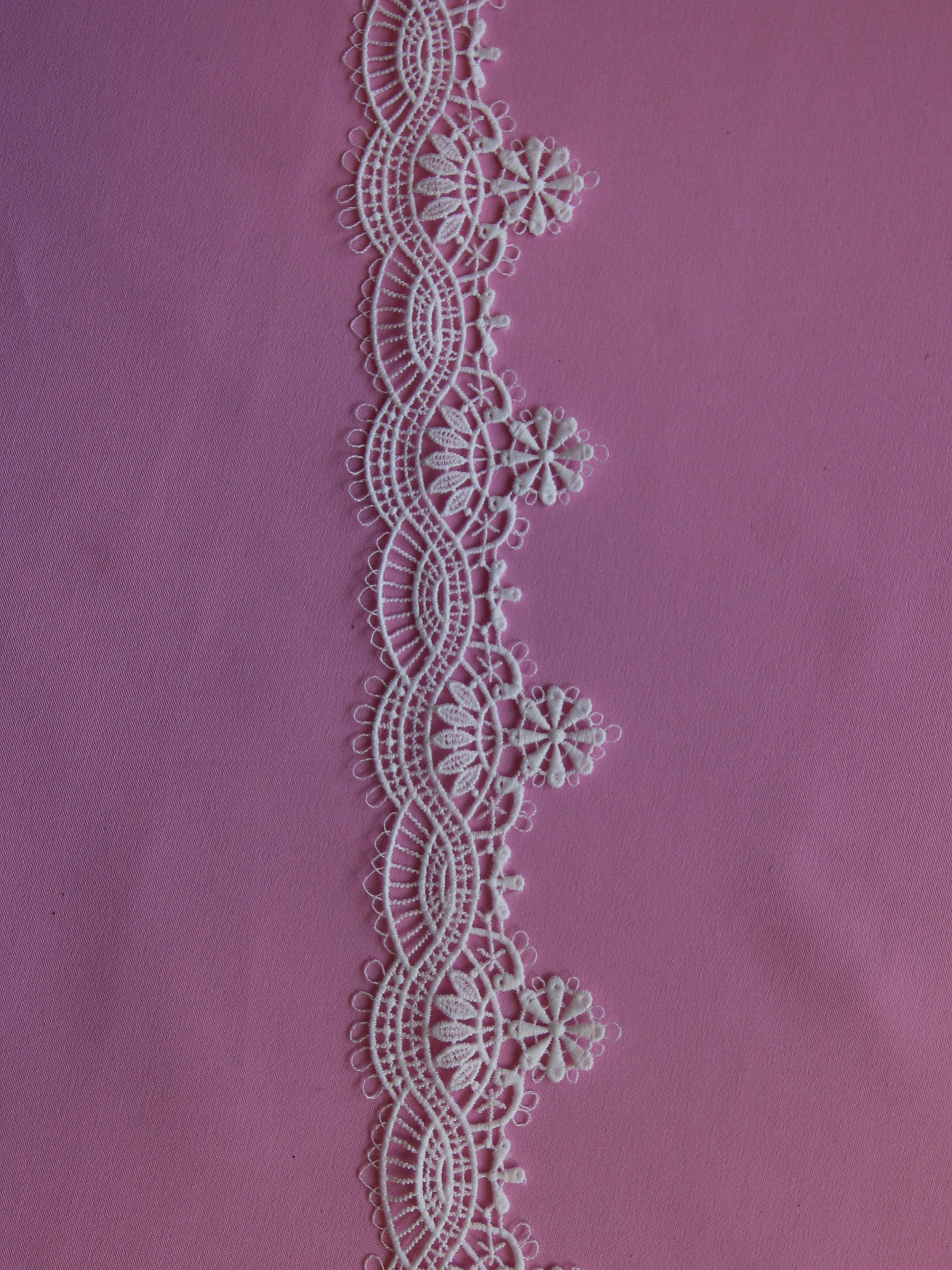 Galon en dentelle ivoire - Locust