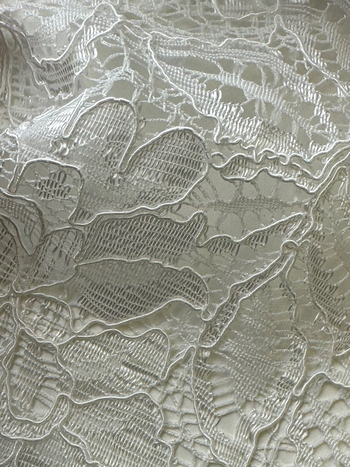 Dentelle cordée ivoire - Tocca