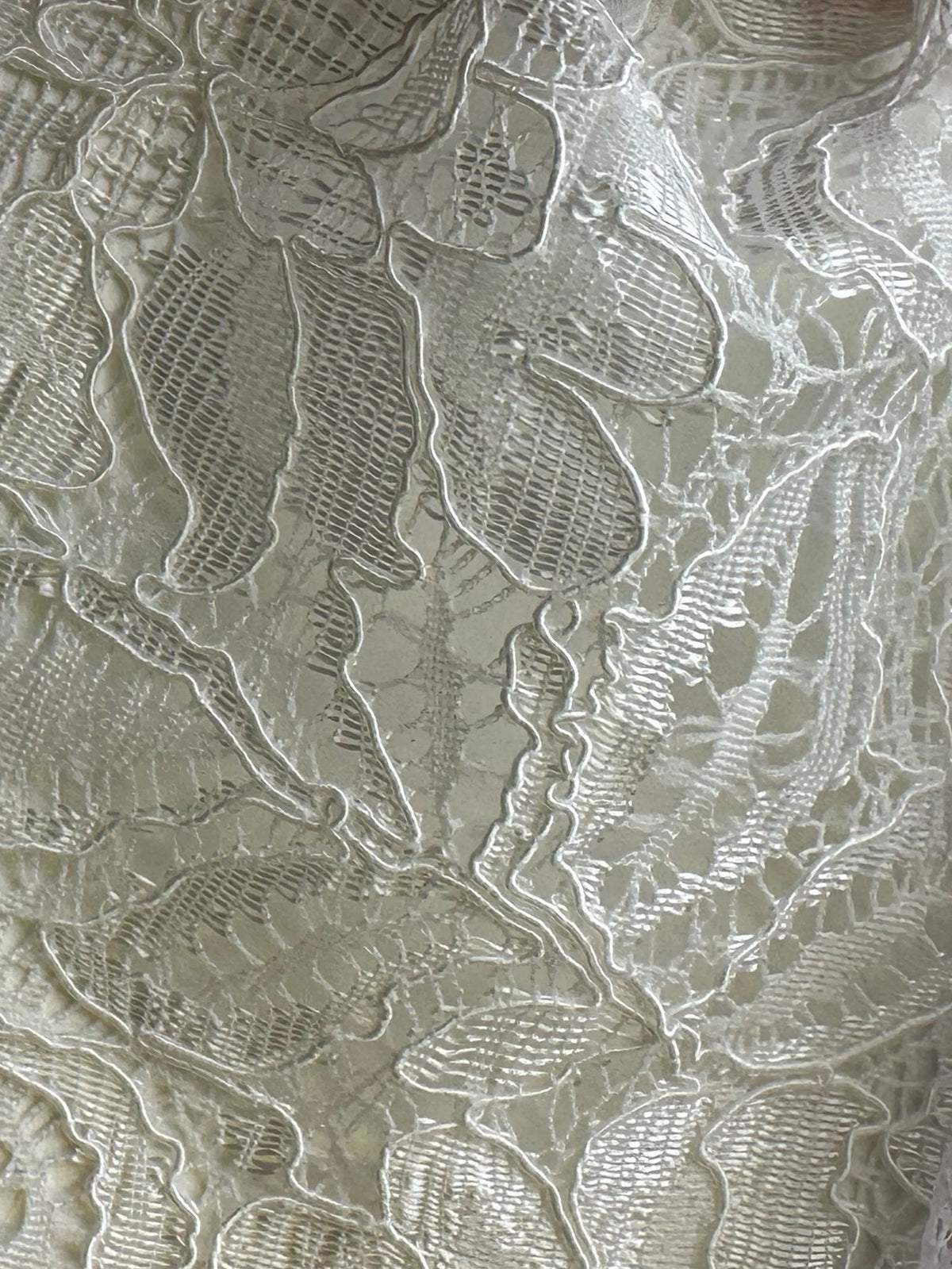 Dentelle cordée ivoire - Tocca