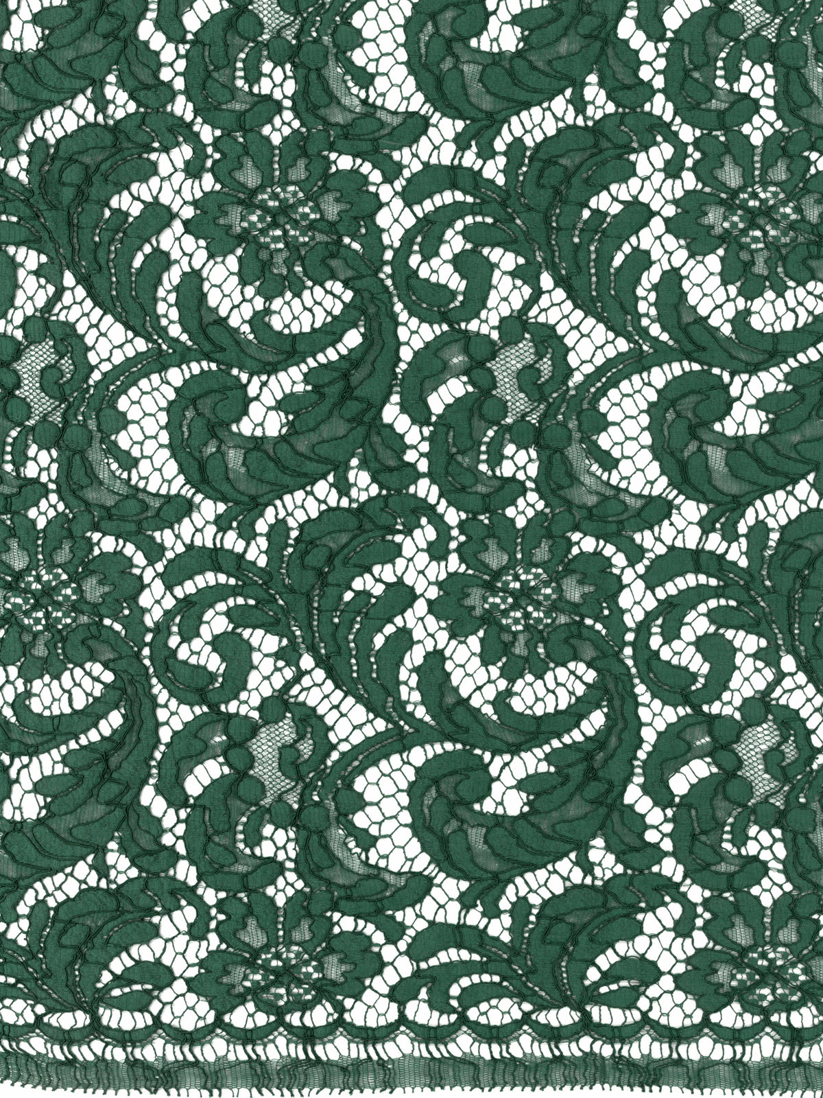 Dentelle cordée française émeraude Eco - LA4007