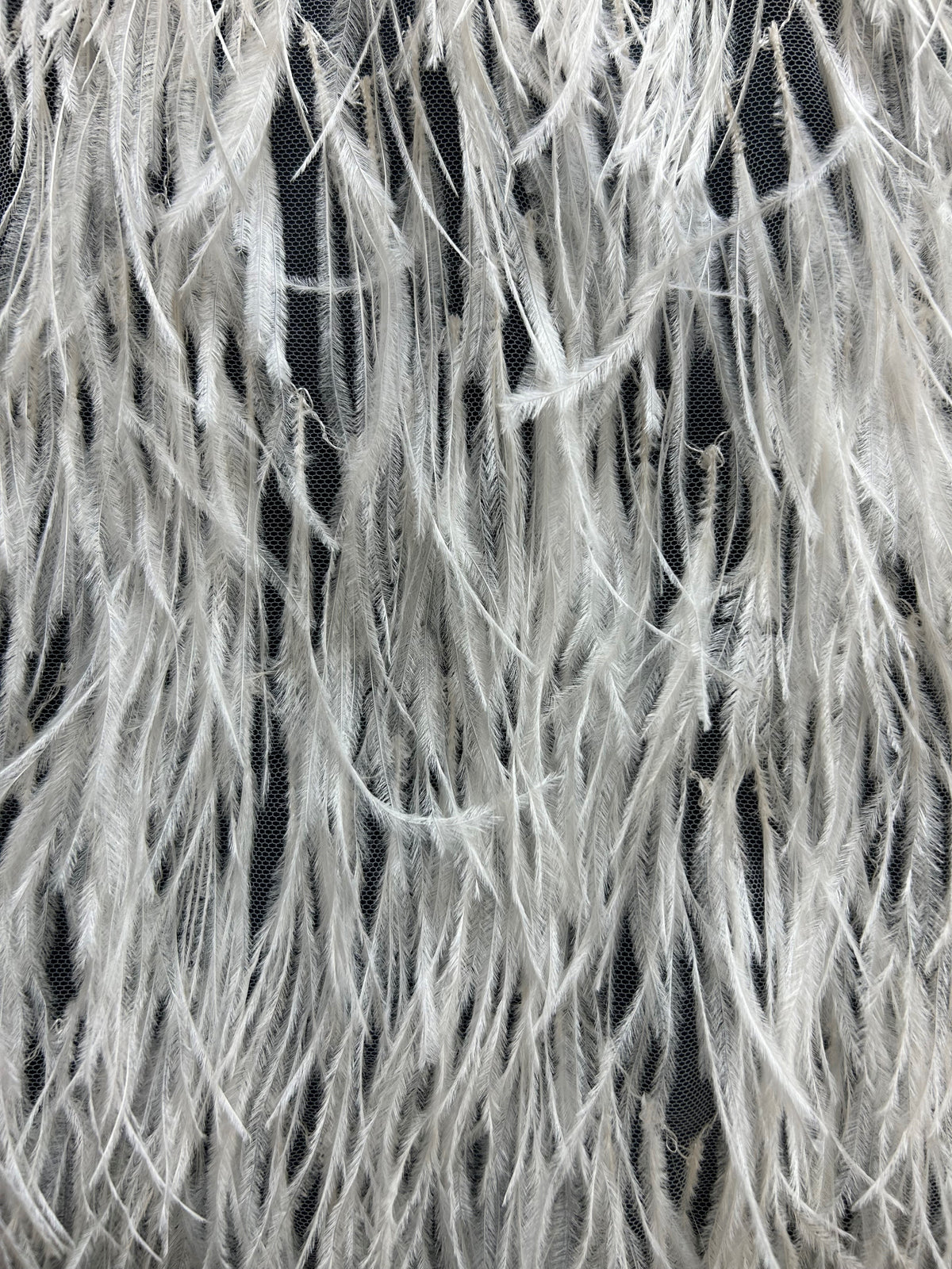 Tulle à plumes ivoire - Lynch