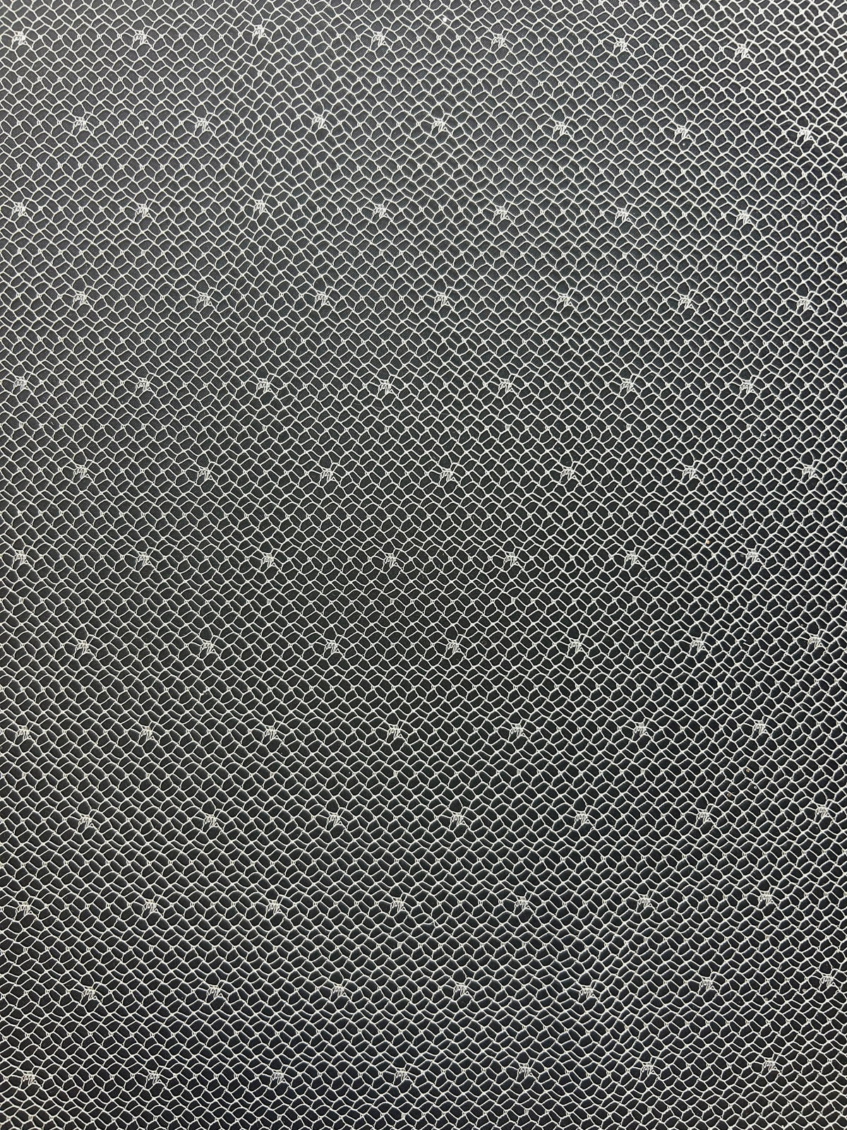 Dentelle Raschel ivoire - Magicien