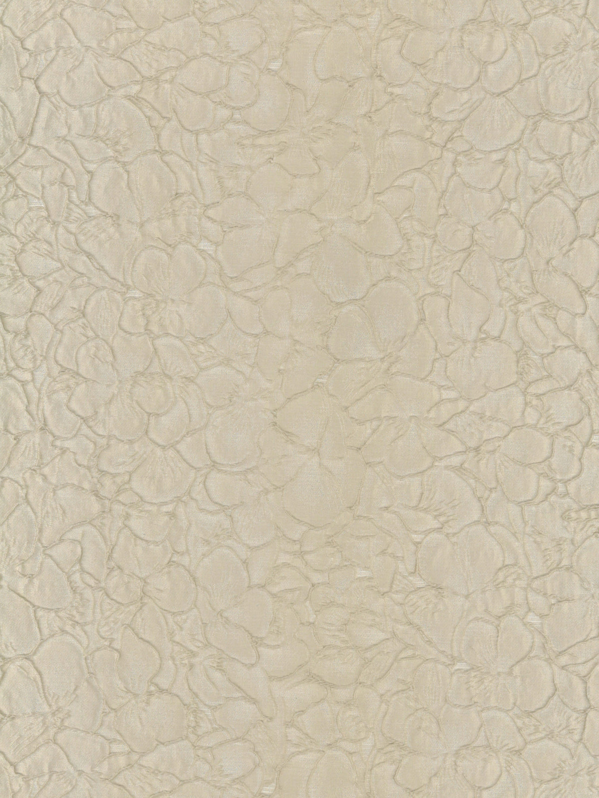 Jacquard café - P659