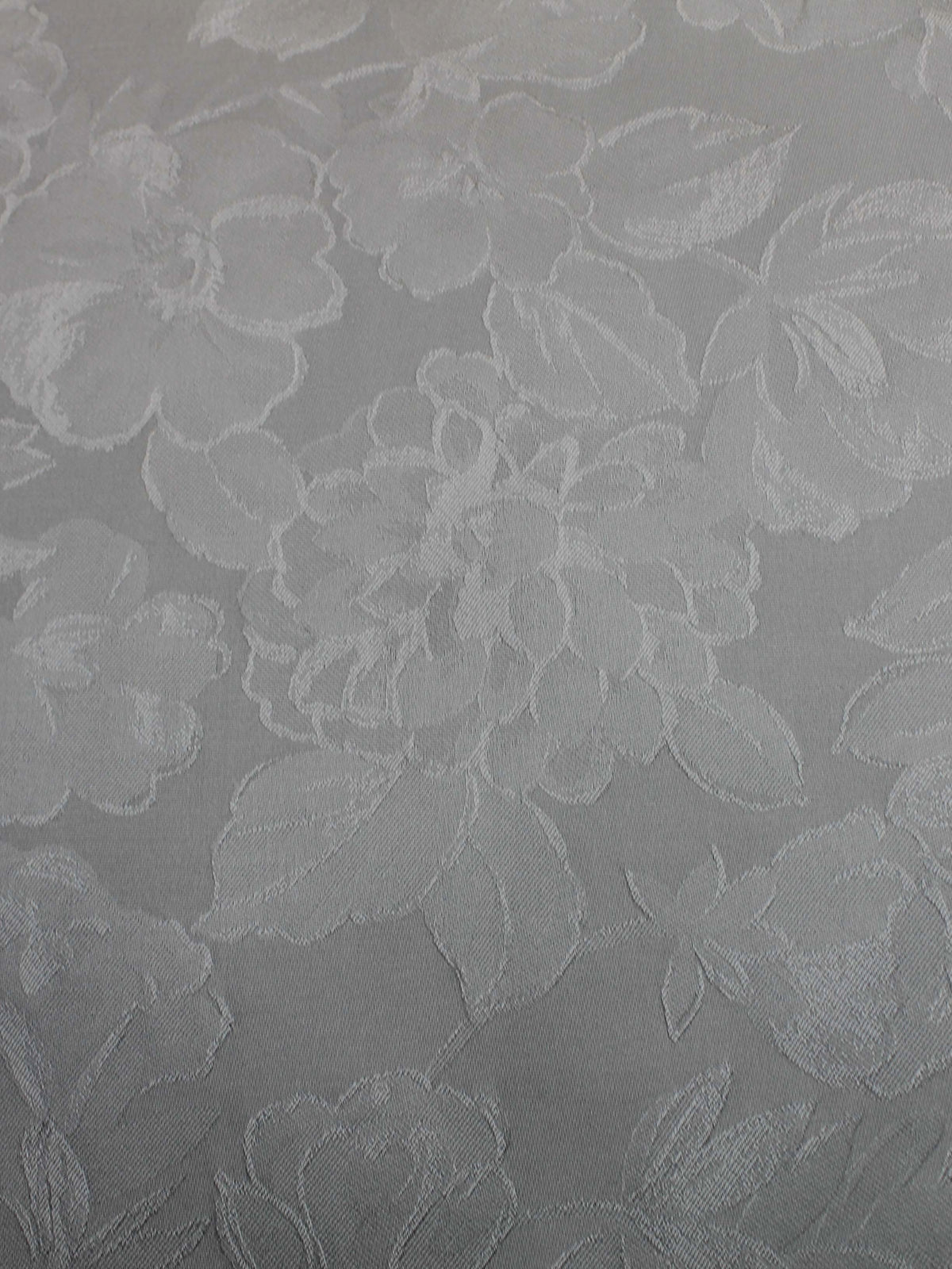 Jacquard Soie Polaire Ivoire - P665