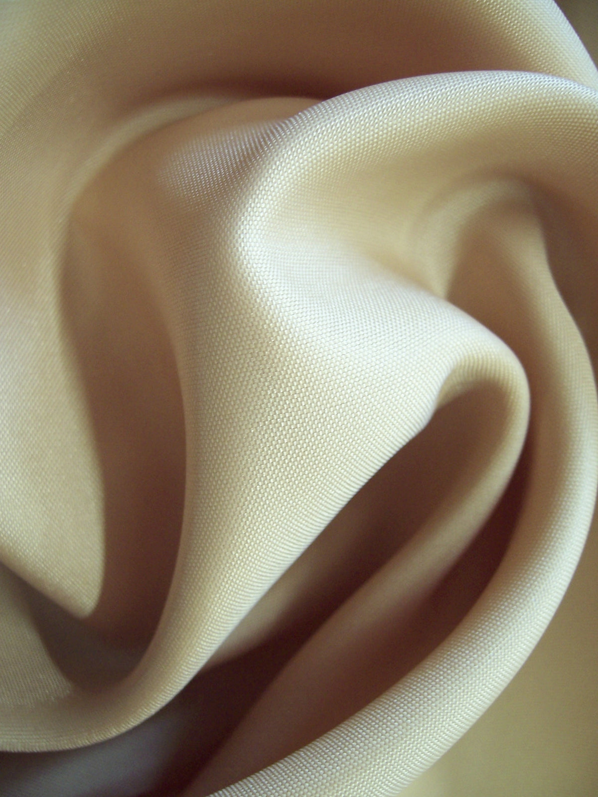 Doublure en polyester Coquille - Renaissance